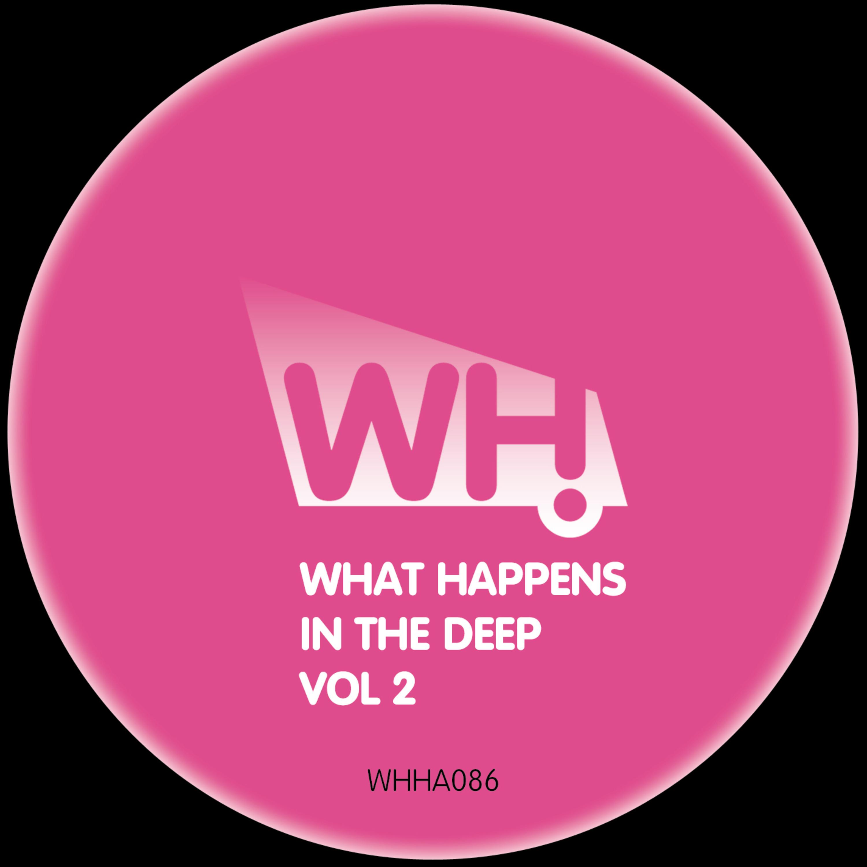 What Happens in the Deep Vol 2