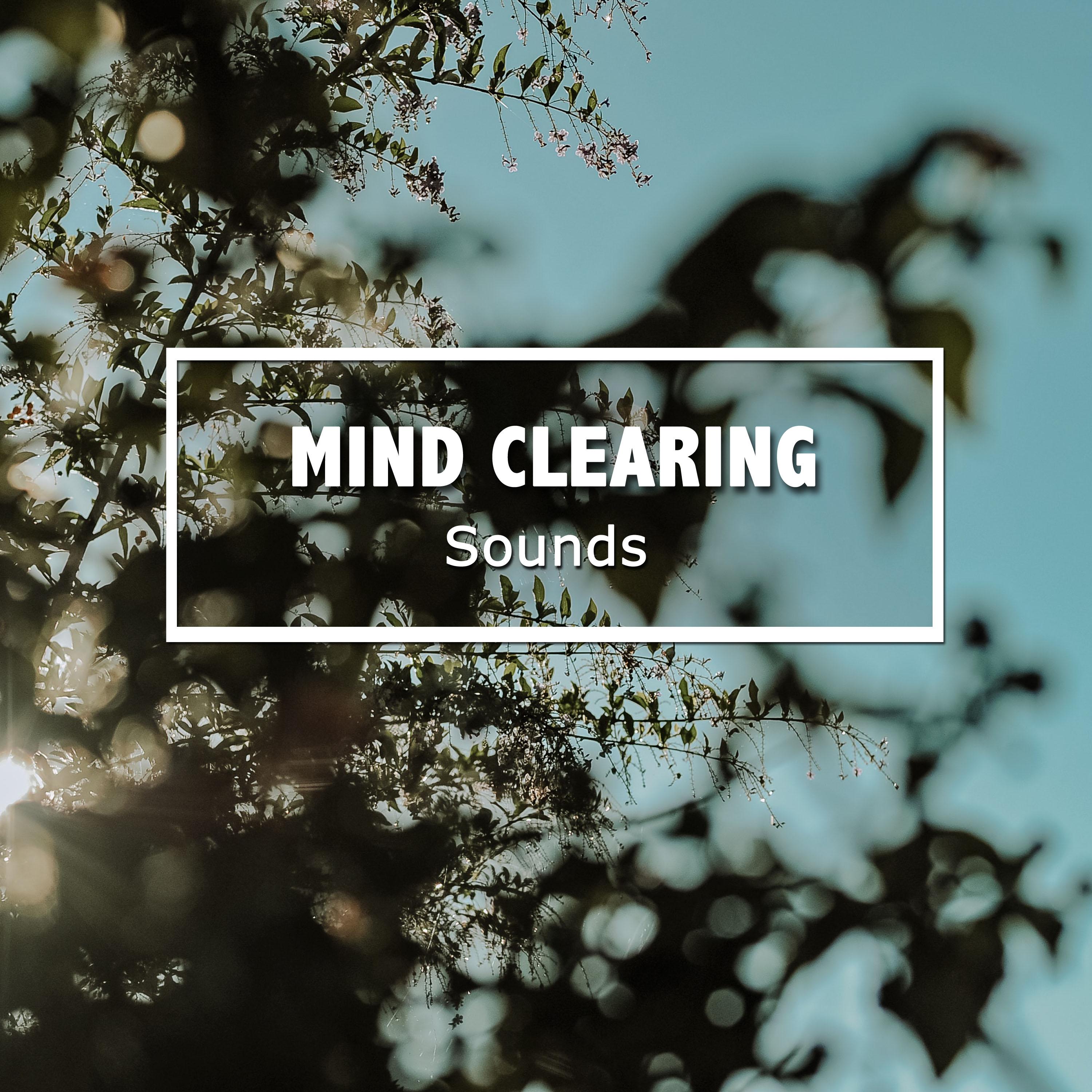 #21 Mind Clearing Sounds to Aid Relaxation & Massage
