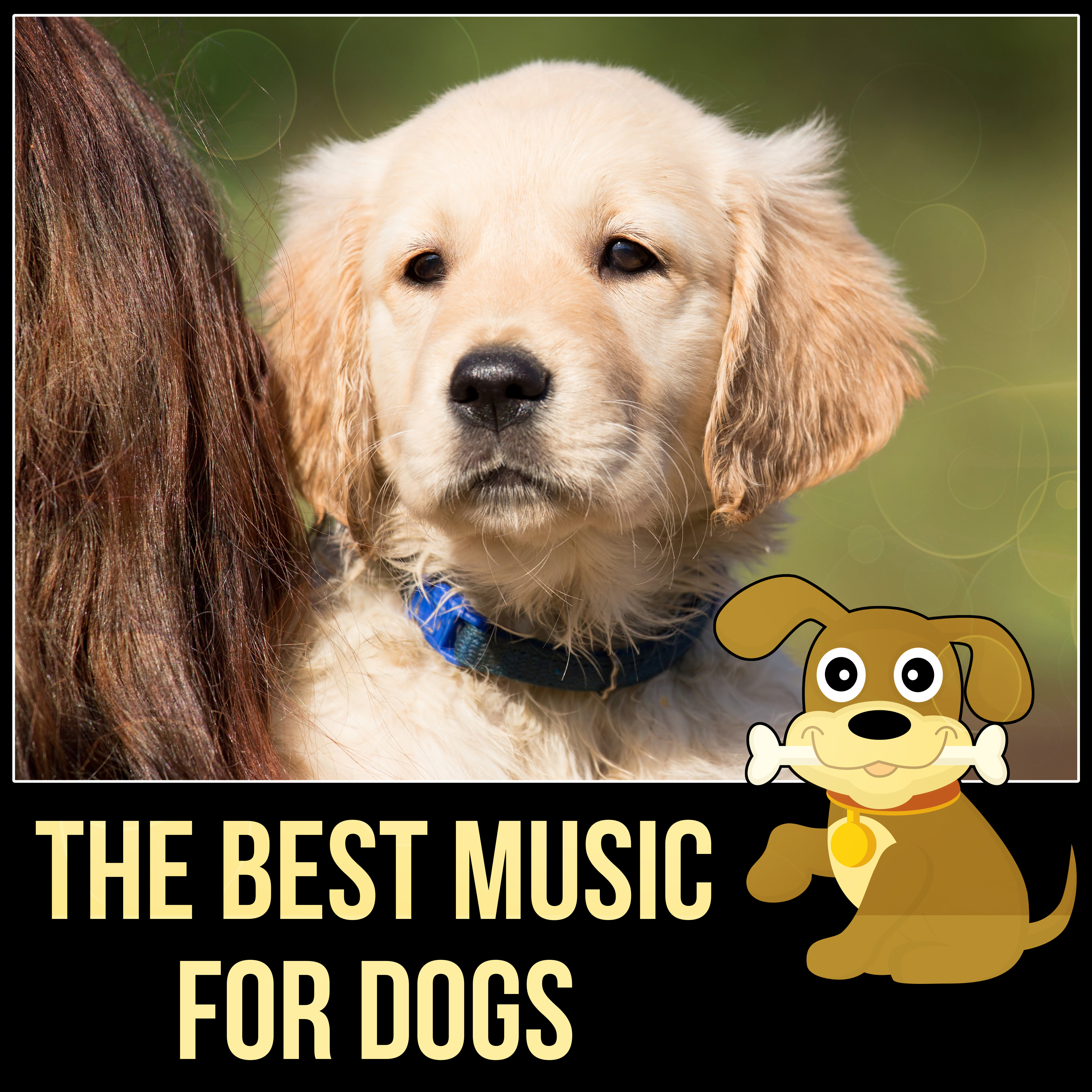 The Best Music for Dogs  Happy Animal, New Age Music for Puppy  Kitty, Music for Cats to Calm Down, Relaxing Music for Your Pet, Calm Your Anxious Dog, Nature Sounds for Relaxation