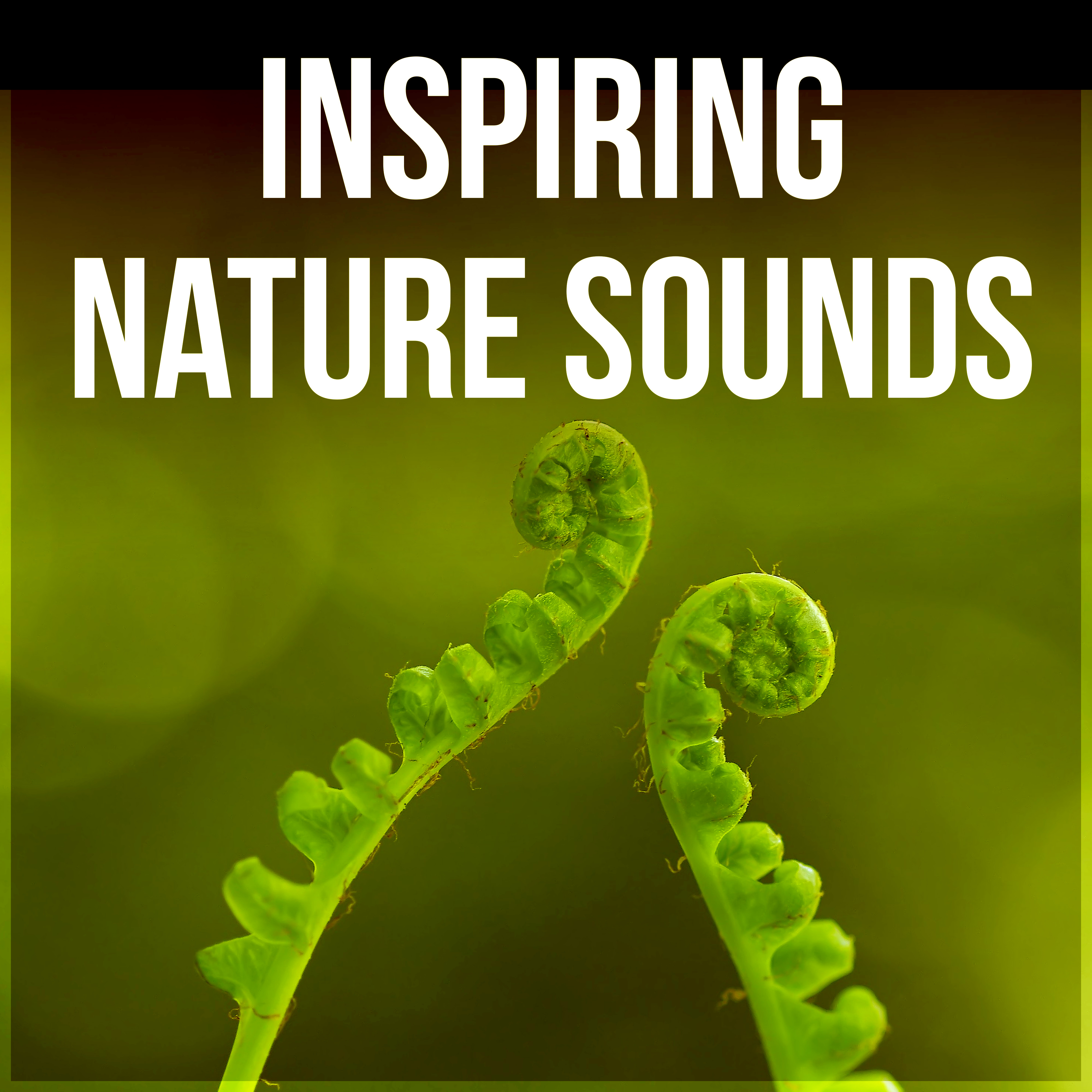 Inspiring Nature Sounds - Relaxing Piano Music Lullabies to Help Relaxation, Background Music for Reading