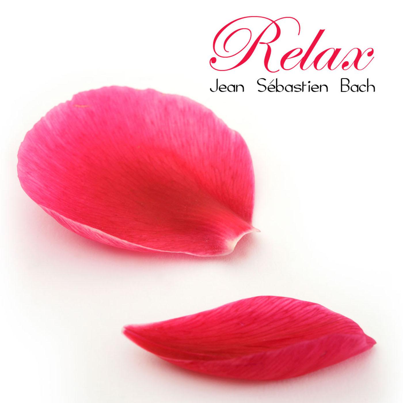Relax: Jean Se bastien Bach et autres Airs de Musique Classique Anti Stress