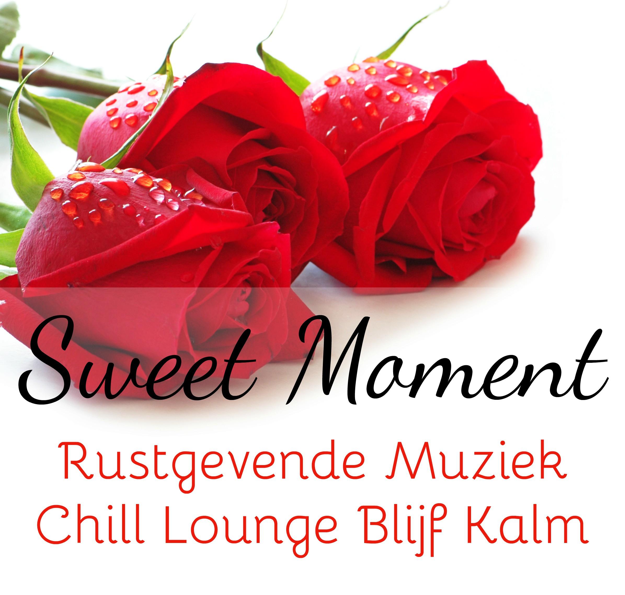 Sweet Moment -Rustgevende Muziek Chill Lounge Blijf Kalm voor Romantisch Overnachten