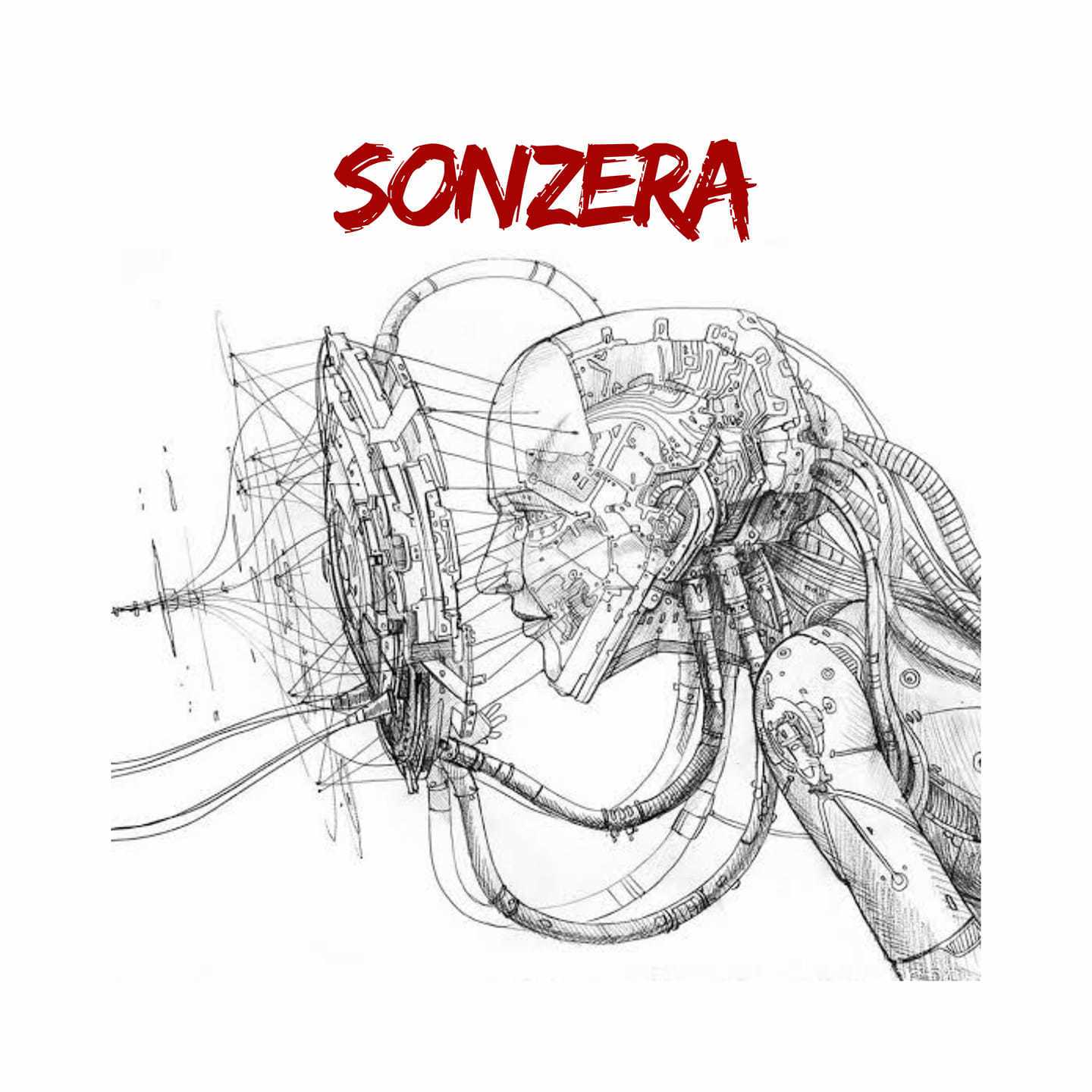 Sonzera