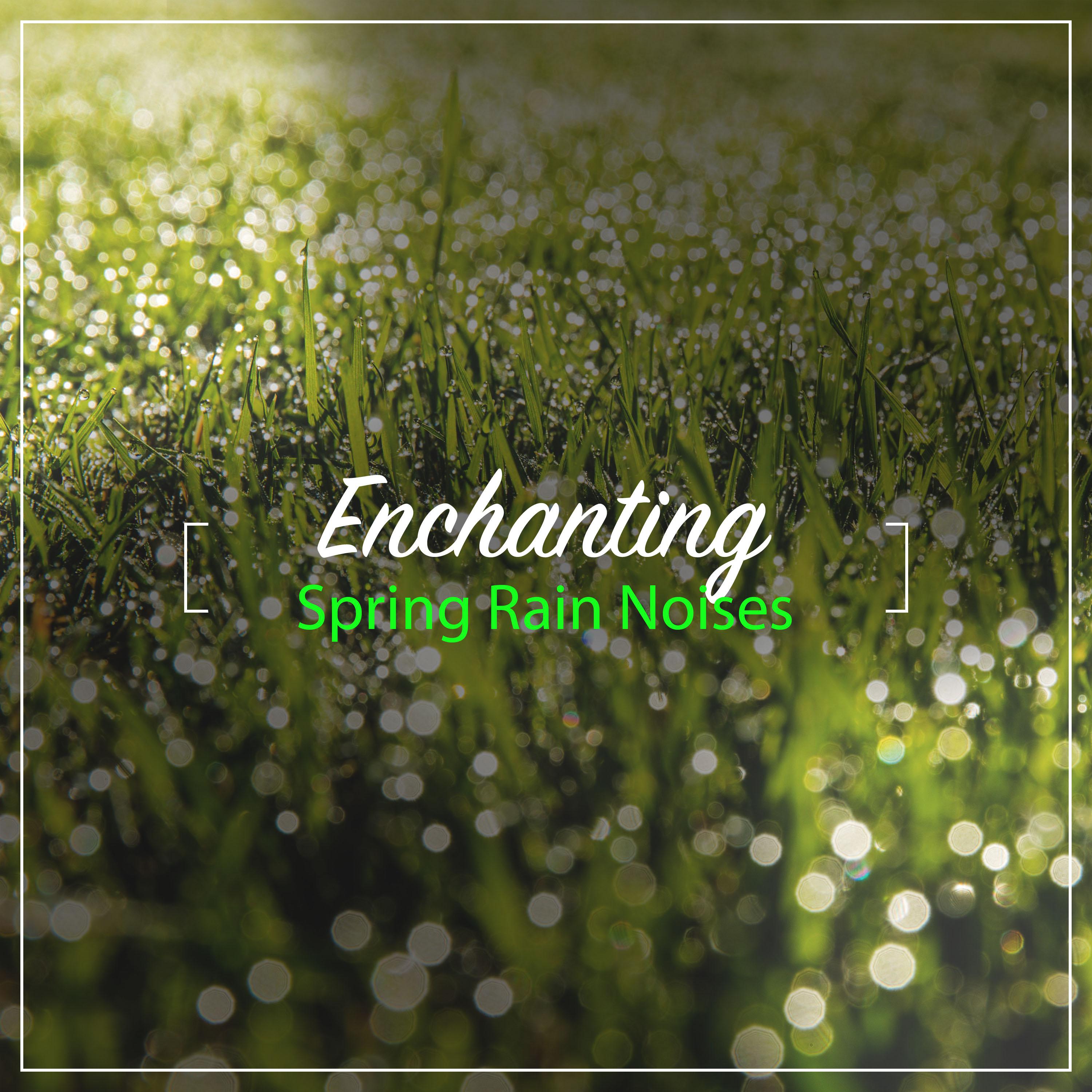 #24 Enchanting Spring Rain Noises