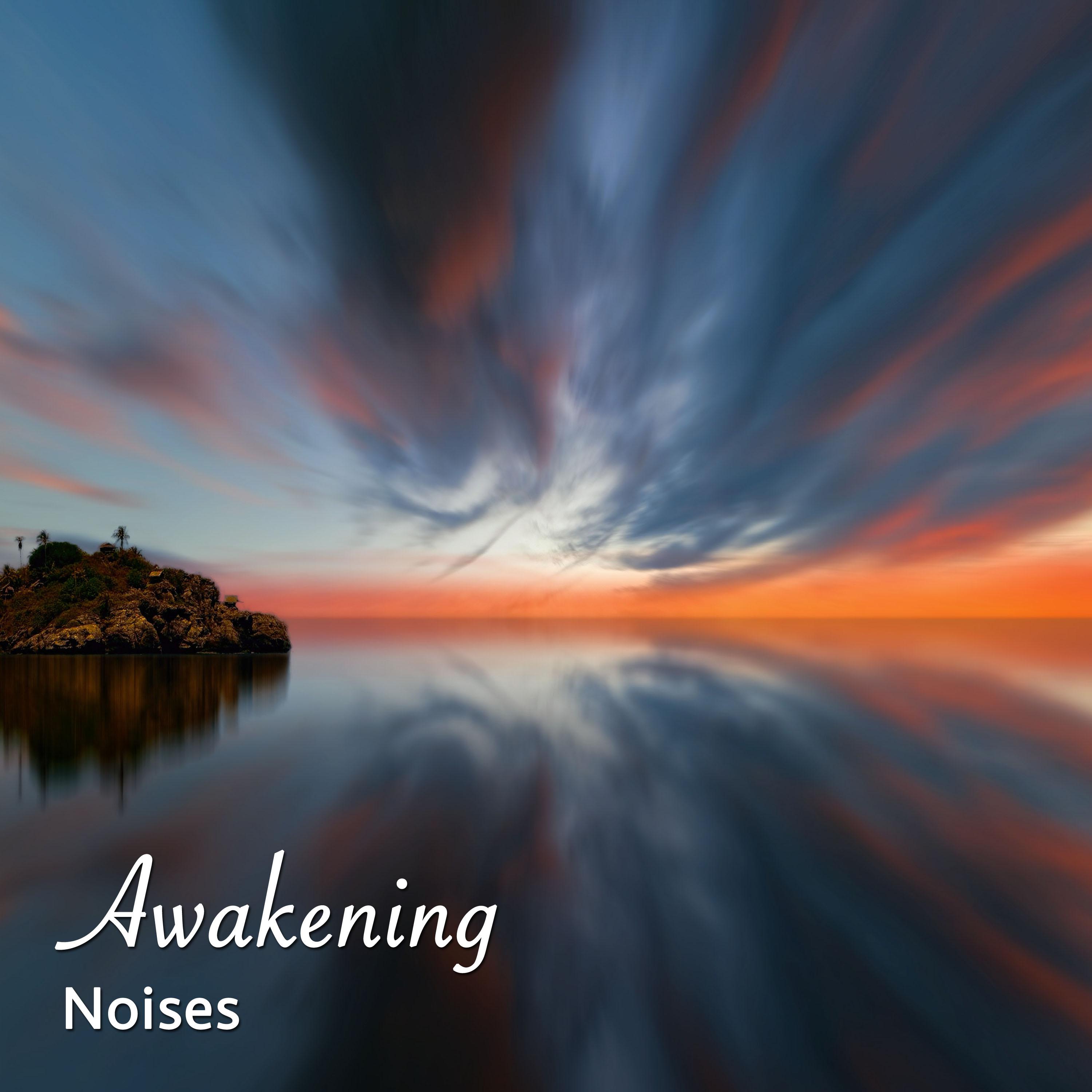 #1 Hour of Awakening Noises for Zen Spa Relaxation