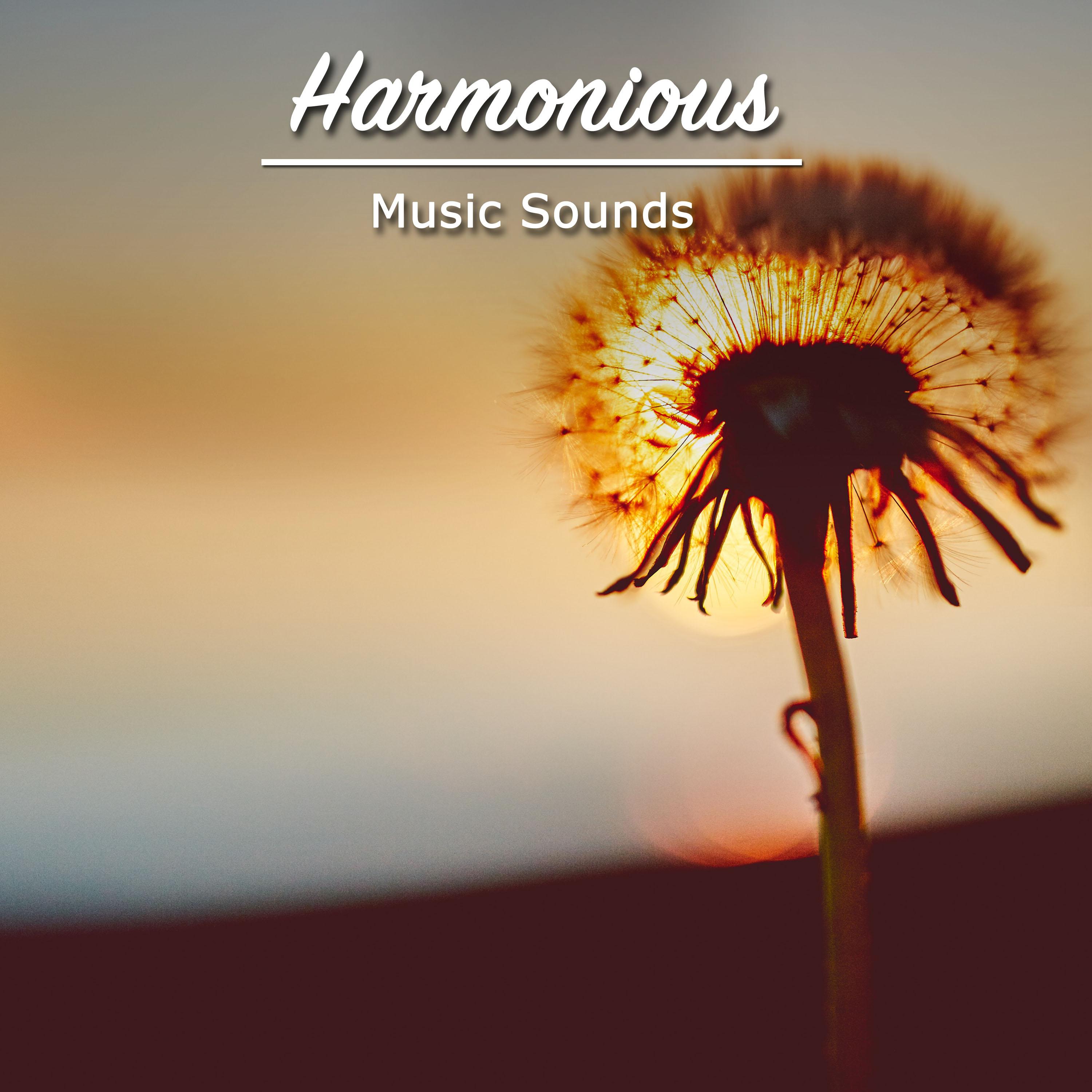 #15 Wondrous Music Sounds for Sleep and Relaxation