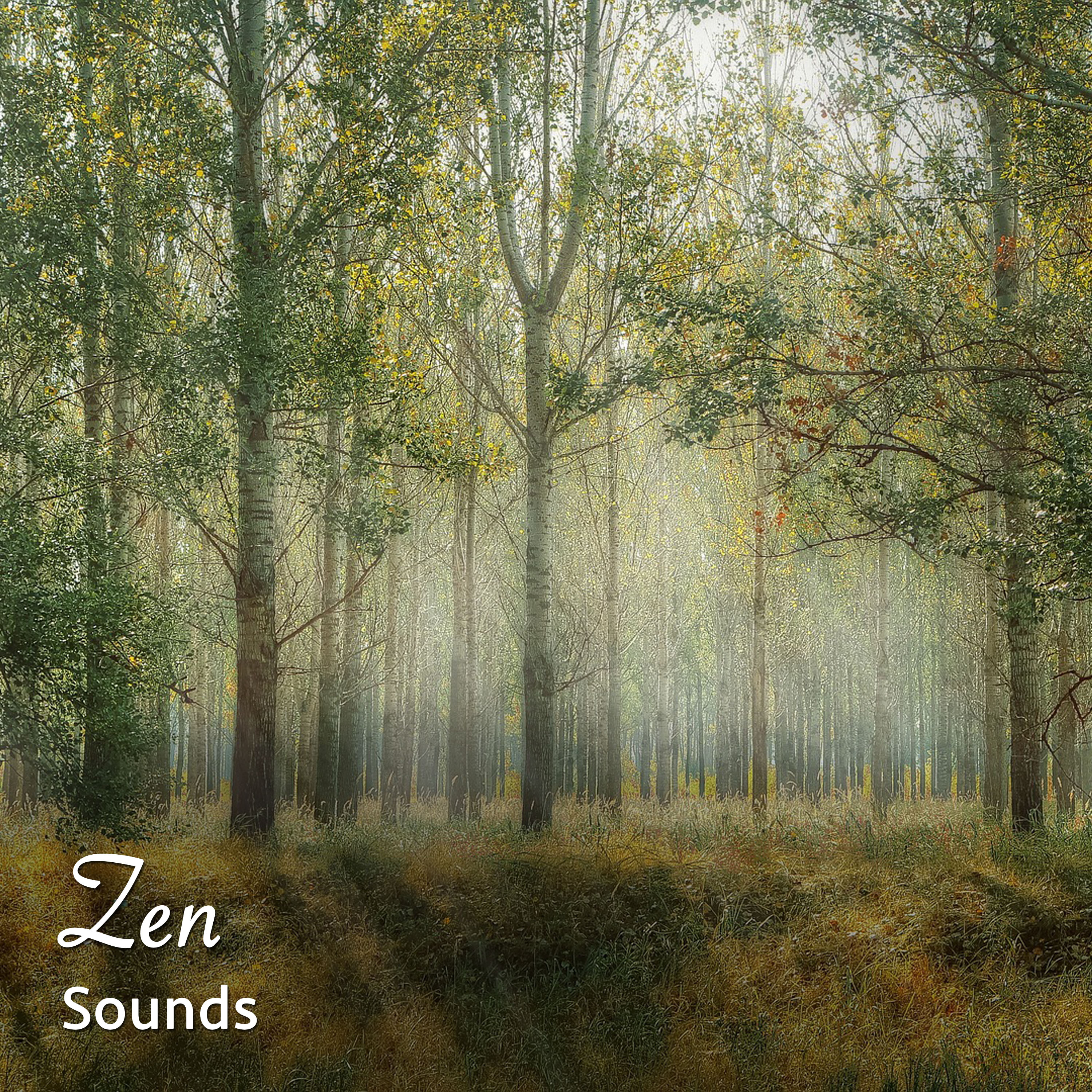 #11 Zen Sounds to Aid Sleep & Wellbeing