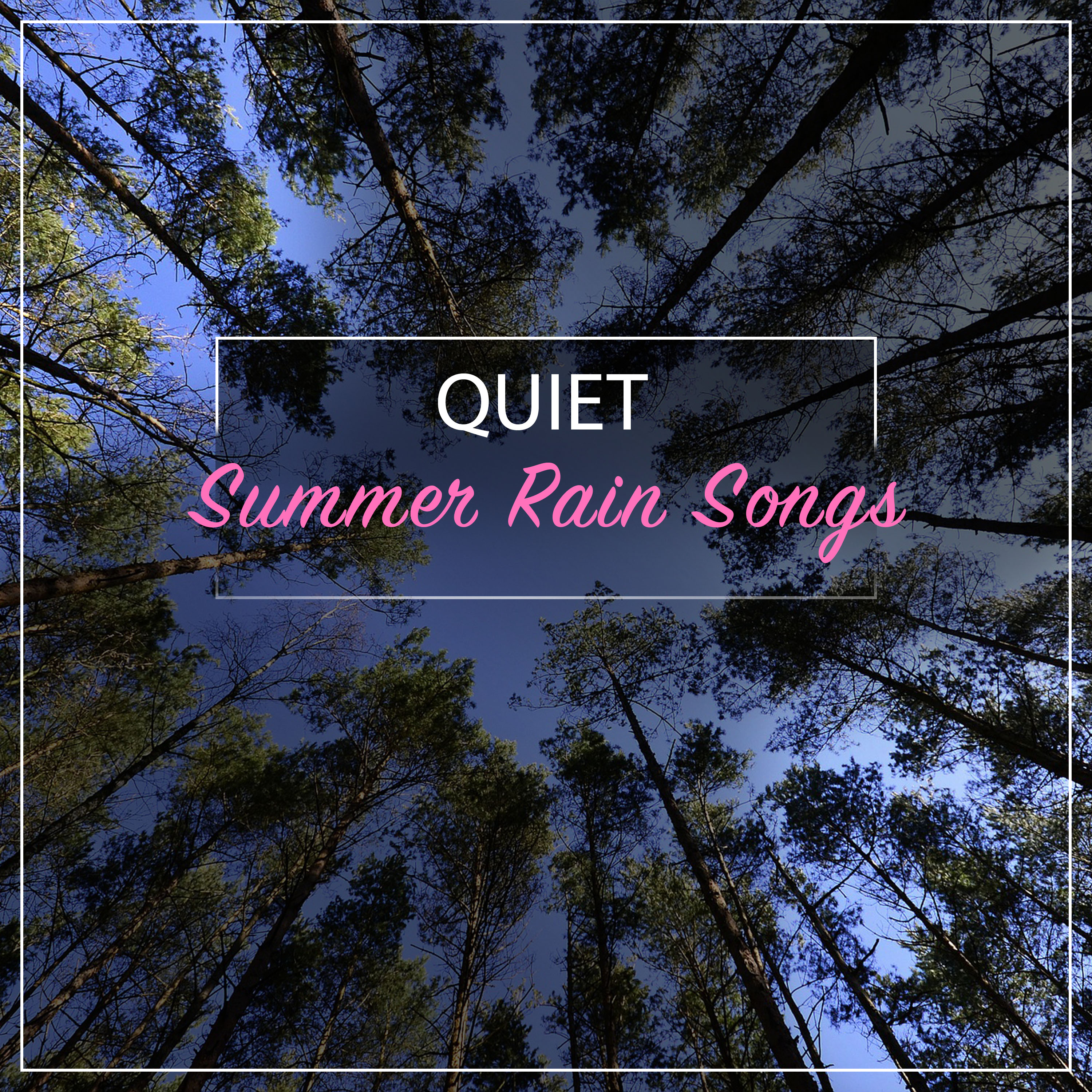 #15 Quiet Summer Rain Songs