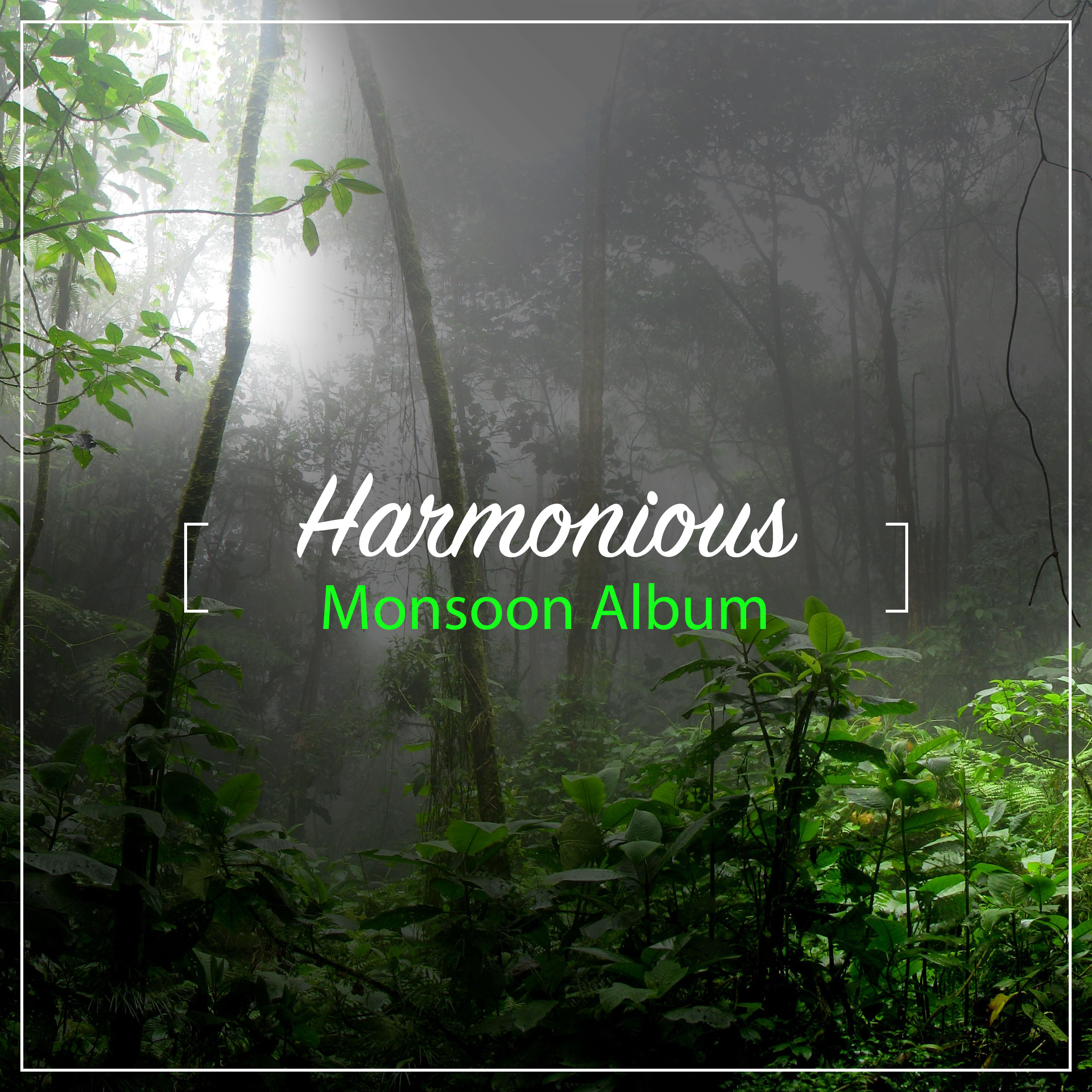 #17 Harmonious Monsoon Album
