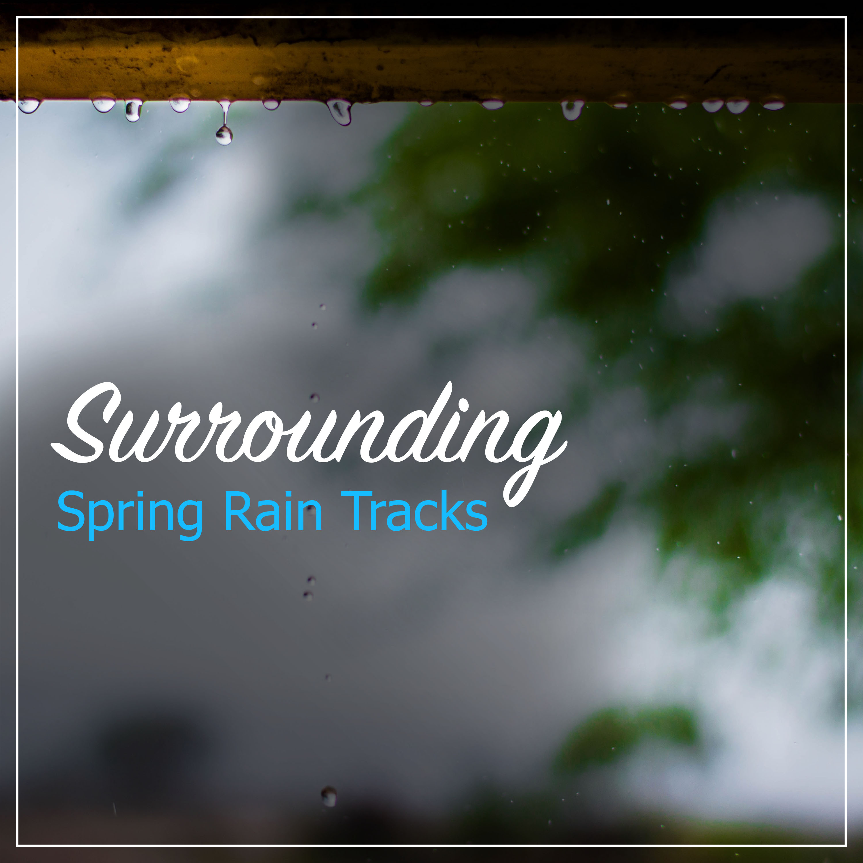 #12 Surrounding Spring Rain Tracks