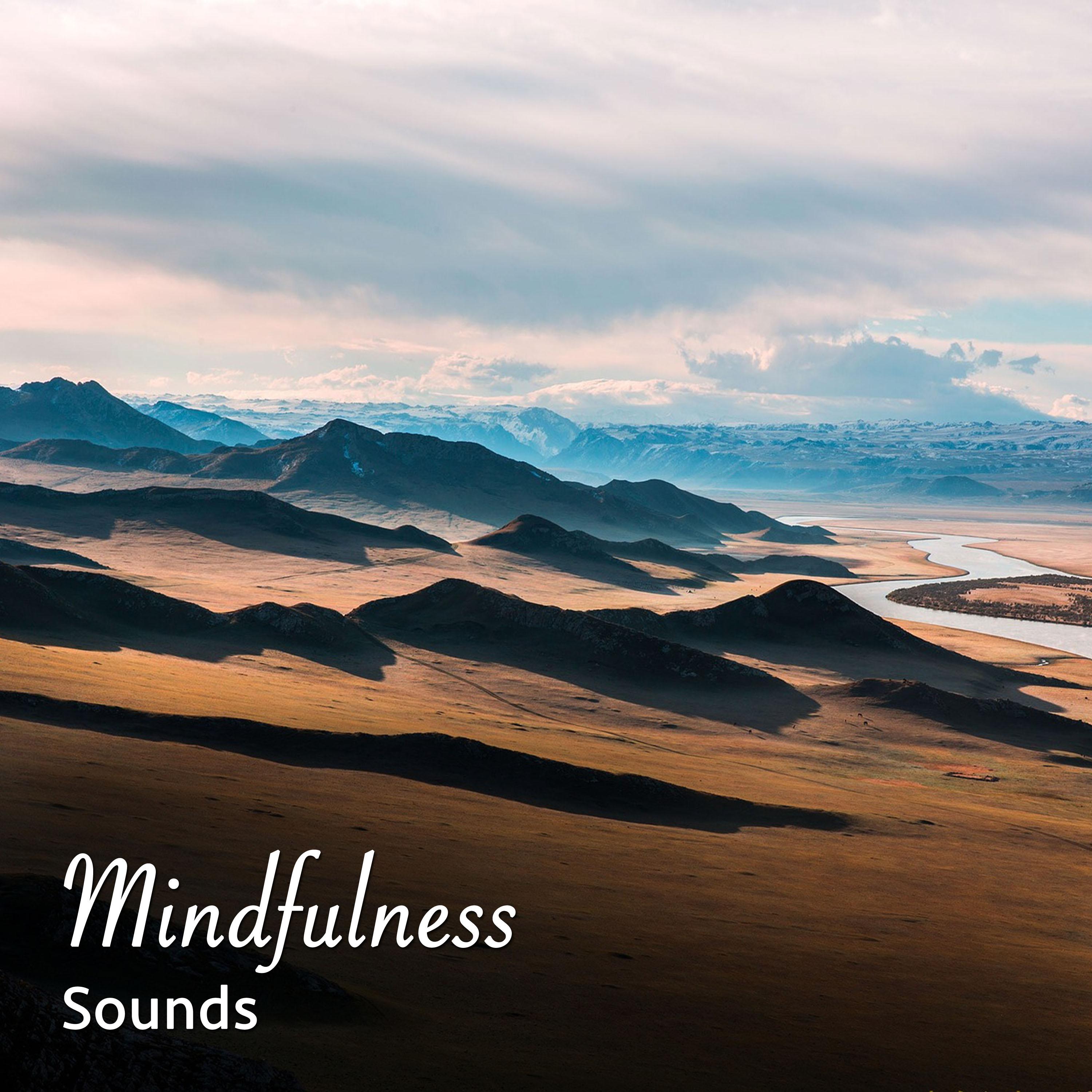 #13 Mindfulness Sounds for Meditation and Yoga