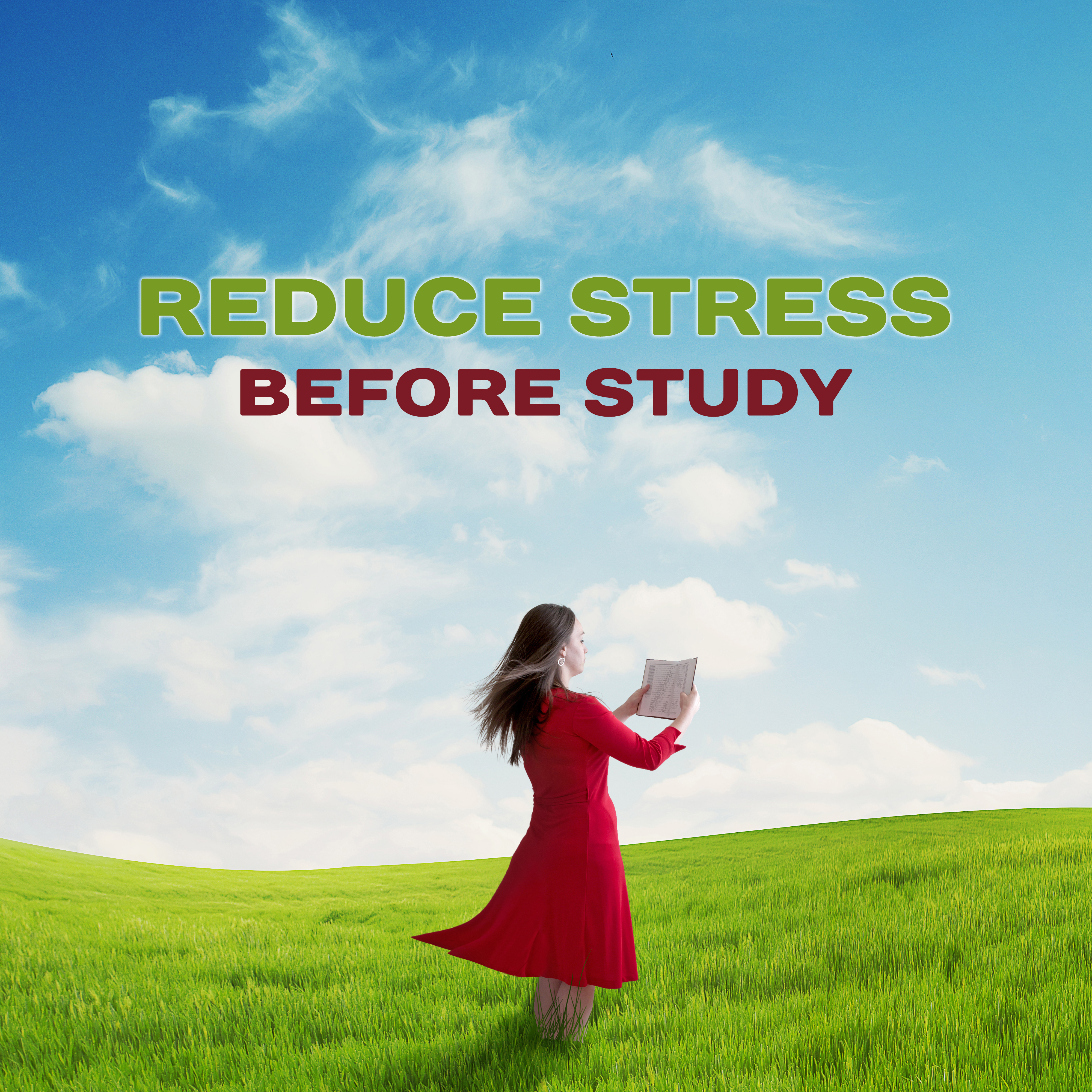 Reduce Stress Before Study