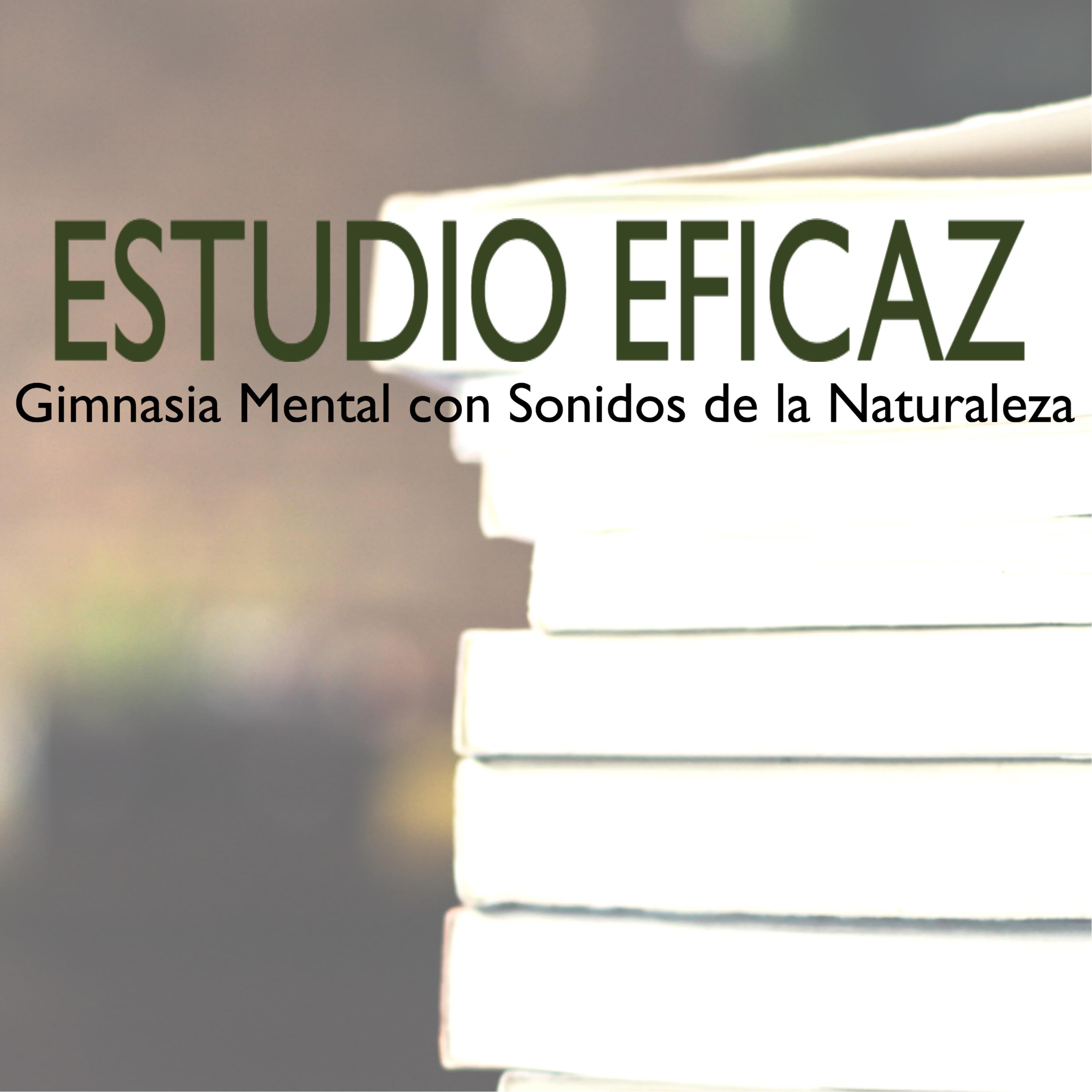 Estudio Eficaz