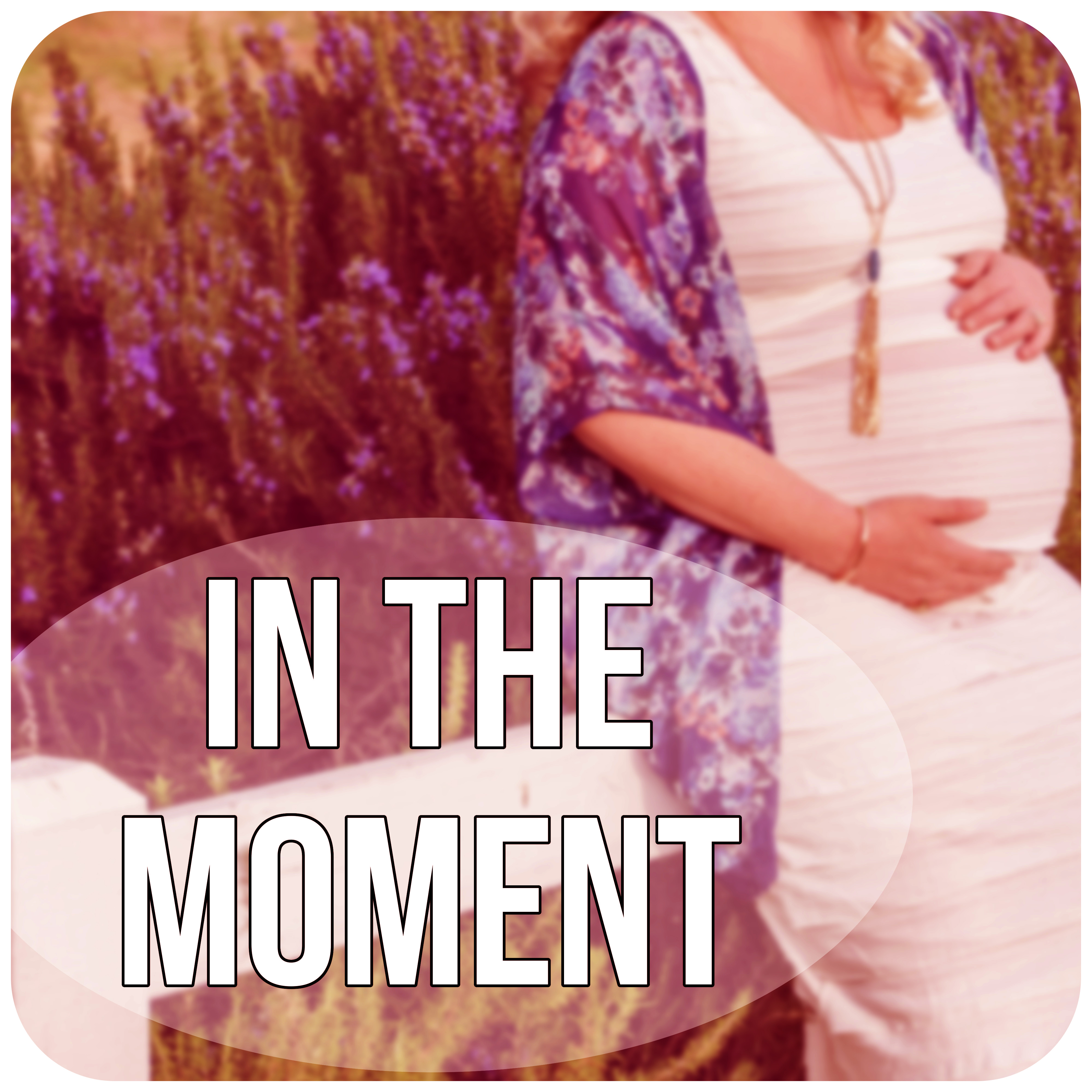 In the Moment - Guided Meditations for Conception and Pregnancy, Hypnosis for Mom and Baby, Nature Sounds for Pregnancy and Birth