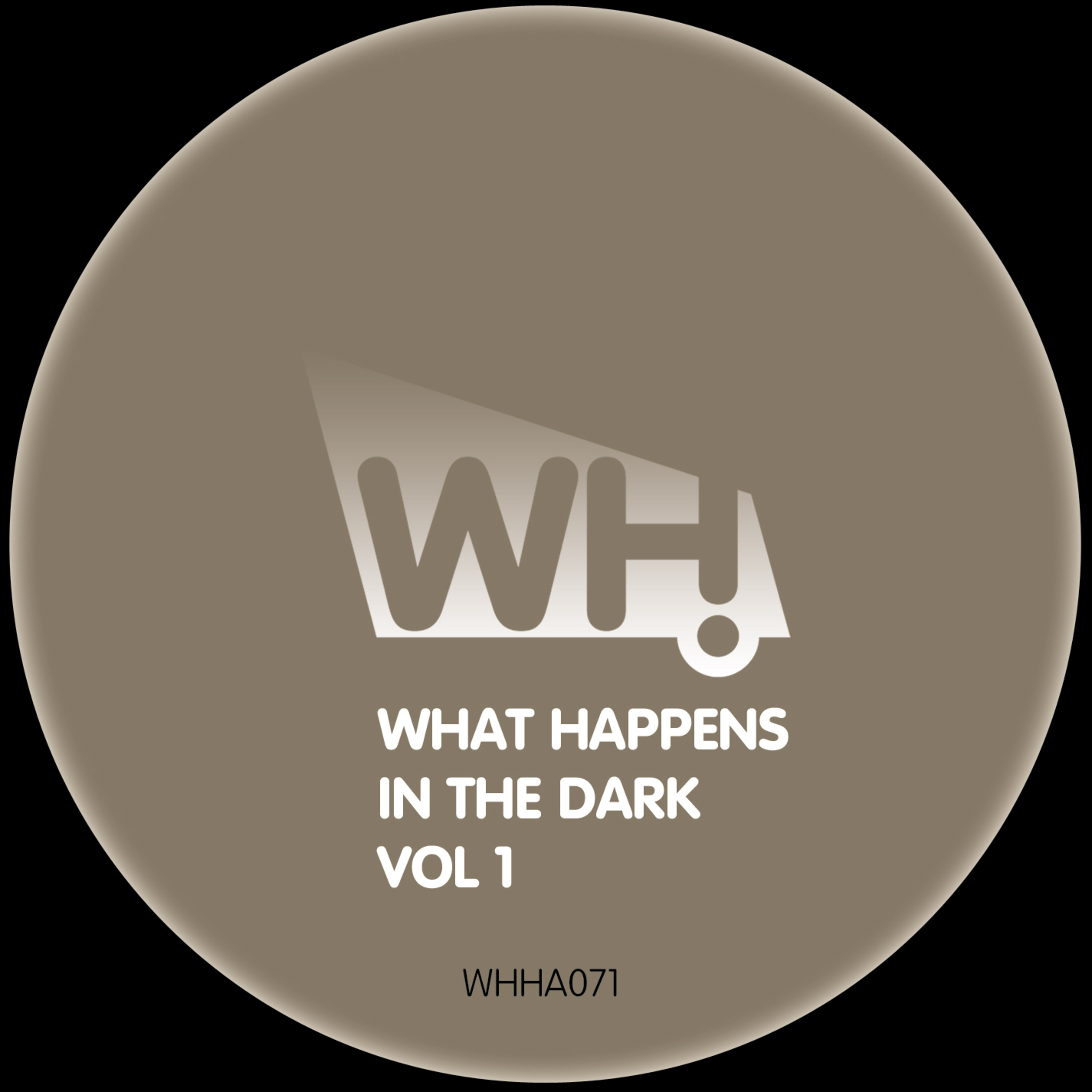 What Happens in the Dark Vol 1