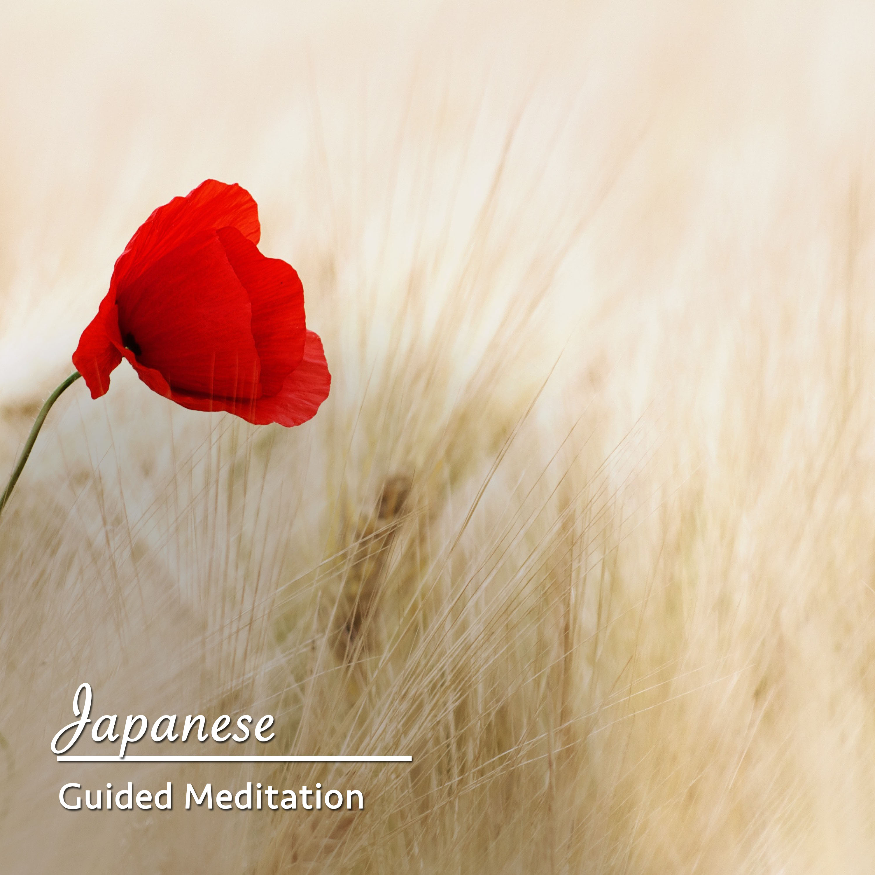 15 Japanese Guided Meditation Songs