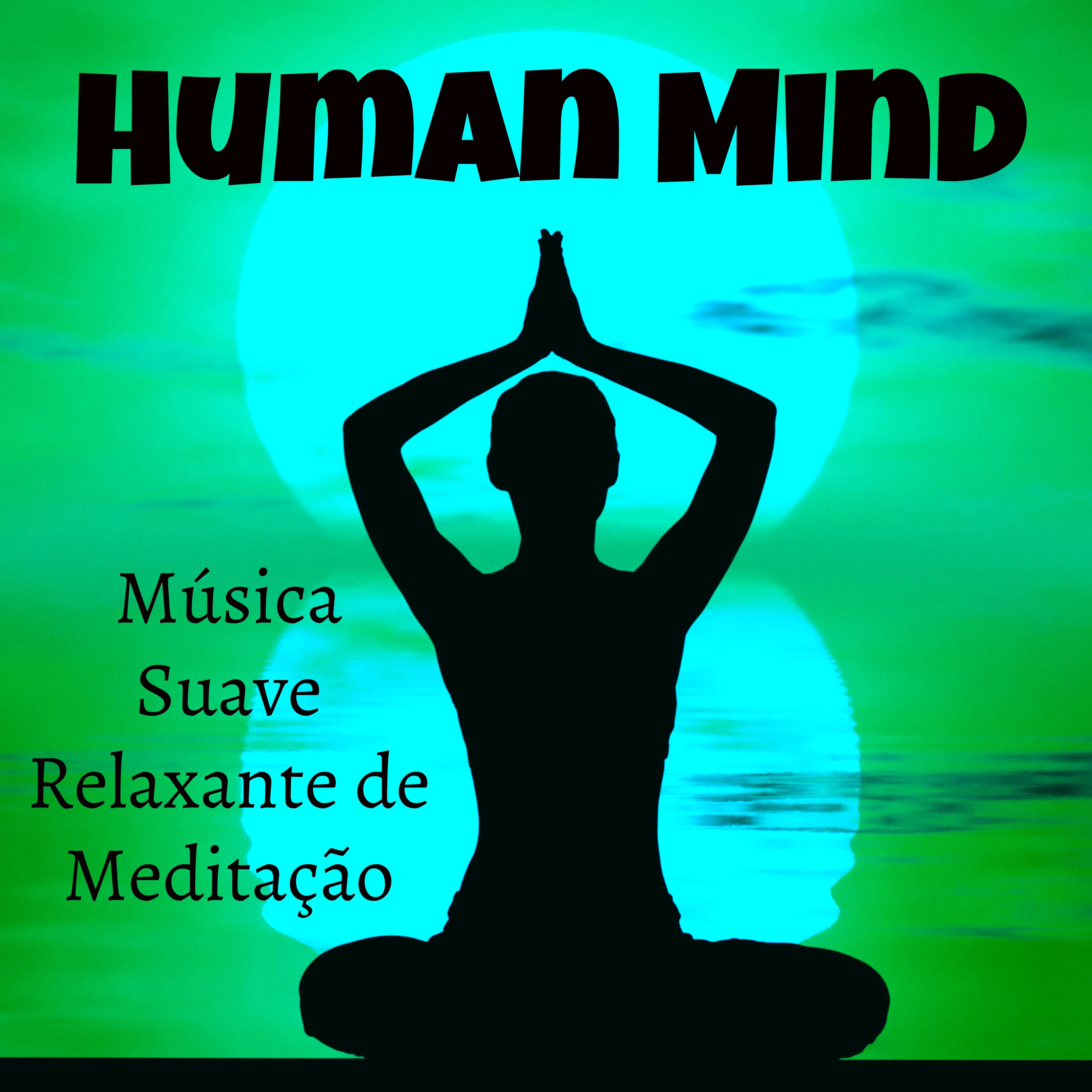 Human Mind  Mu sica Suave Relaxante de Medita o para Dormir Bem Tratamento Espiritual con Sons da Natureza Instrumentais Suaves