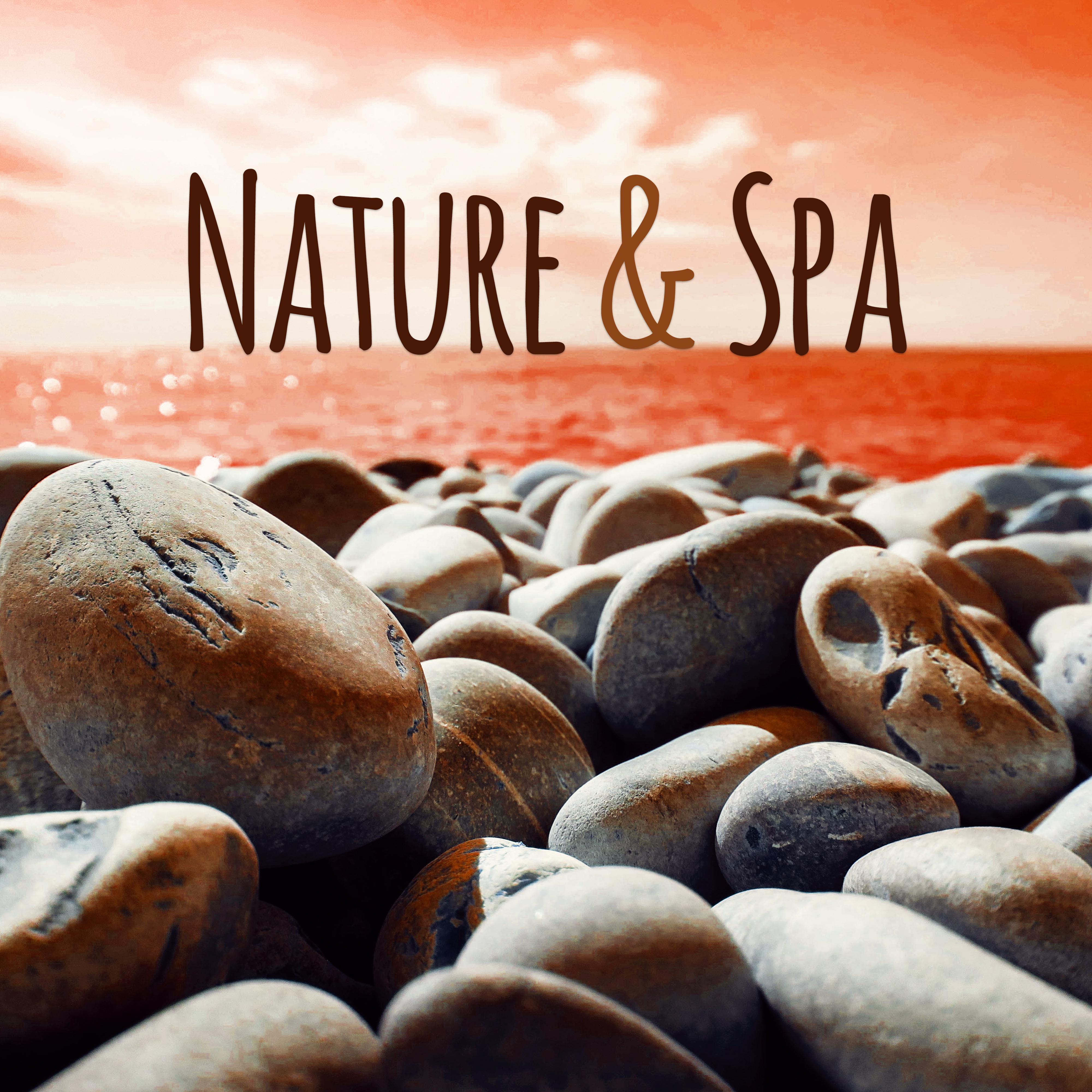 Nature  Spa  Calming Sounds for Wellness, Spa, Massage, Deep Sleep, Clear Mind, Peaceful Afternoon