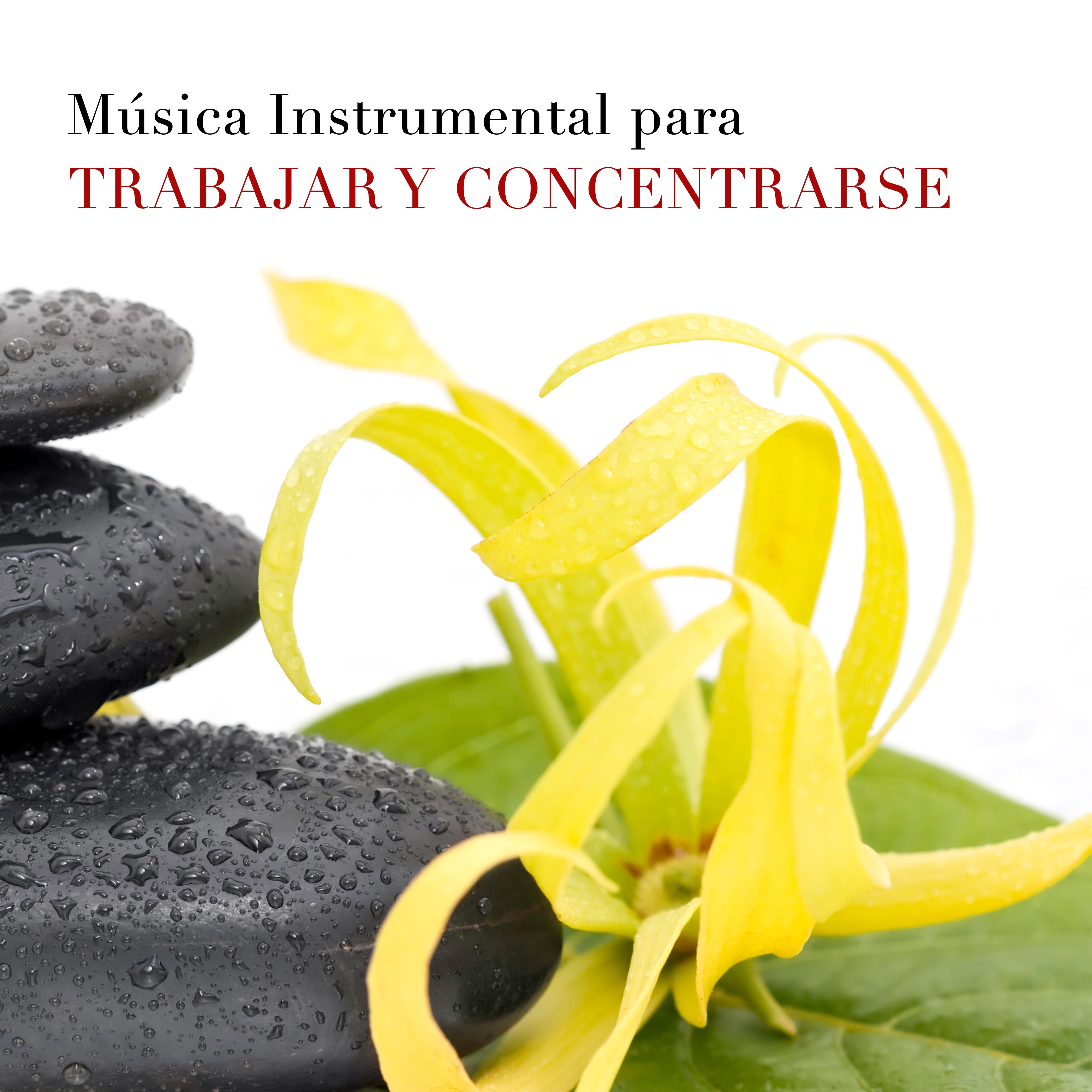 Mu sica Instrumental para Trabajar y Concentrarse en la Oficina  Sonidos de la Naturaleza Lluvia, Viento, Olas del Mar juntos a Instrumentos Musicales Relajantes como Flauta de Pan, Piano, Ocarina