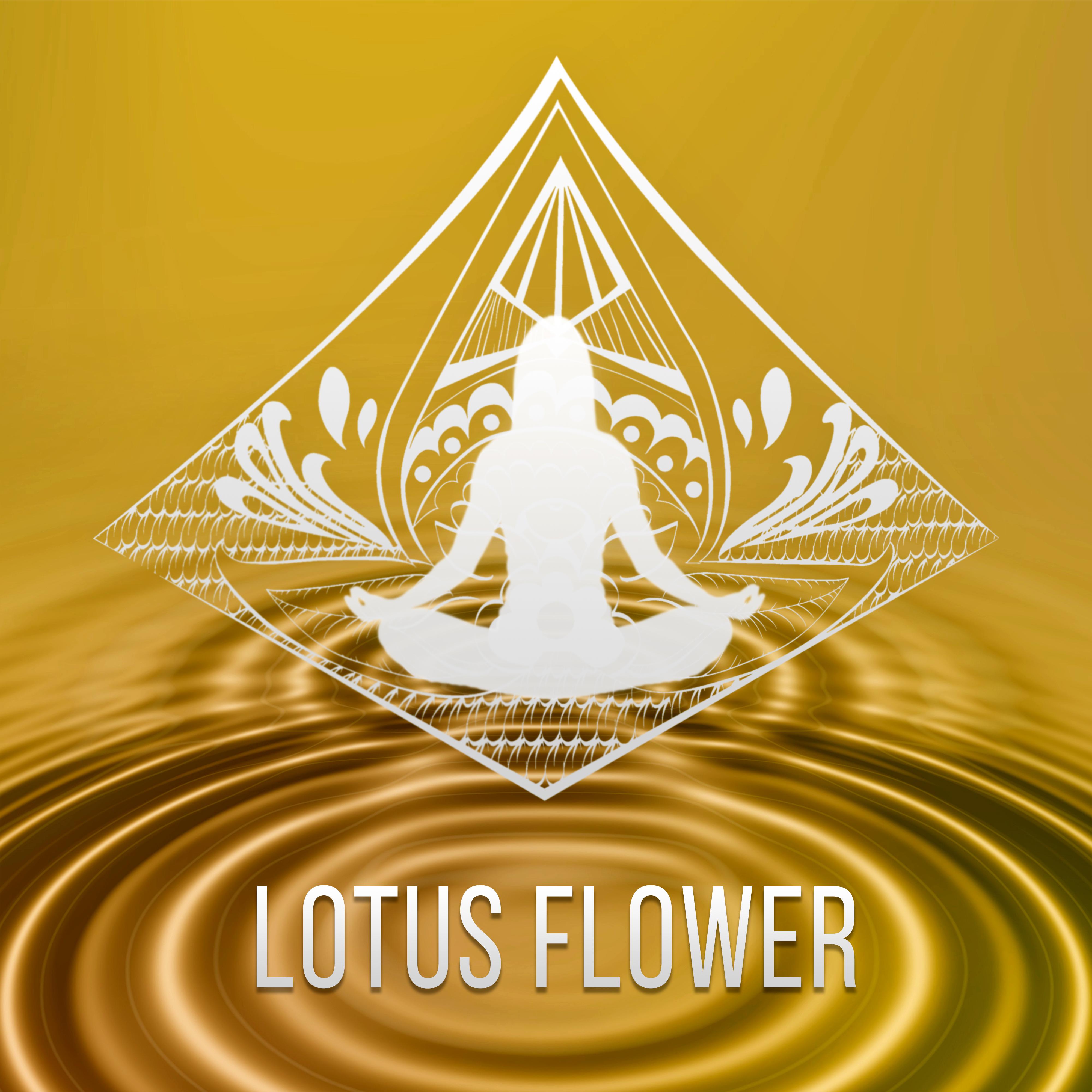 Lotus Flower  Hot Oil Massage Relaxation, Reiki Healing Background Music, Meditation  Yoga, Calm Music for Wellness Center, Stress Relief, Sleep Music