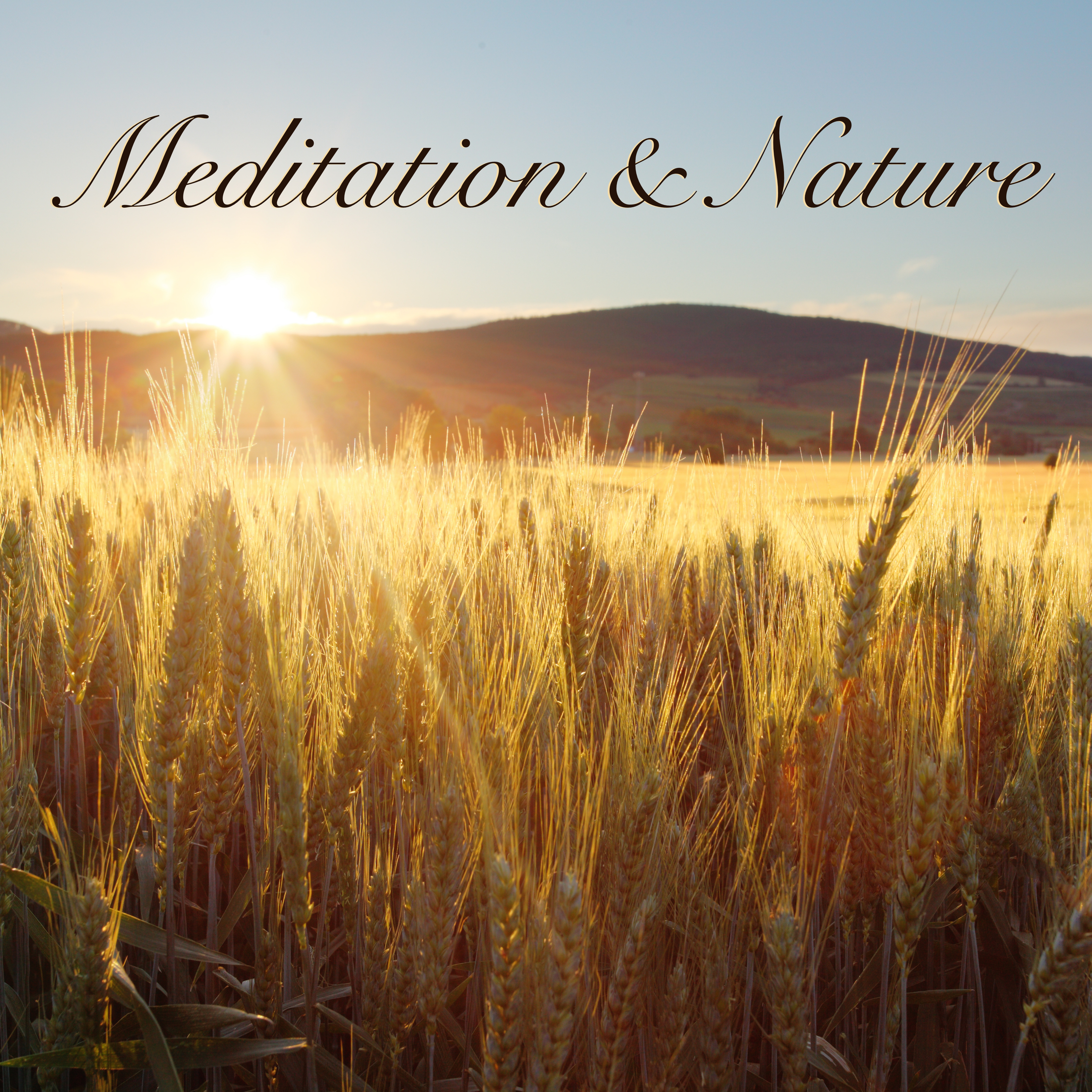 Meditation & Nature - Meditation Music Relaxation Songs to Rest