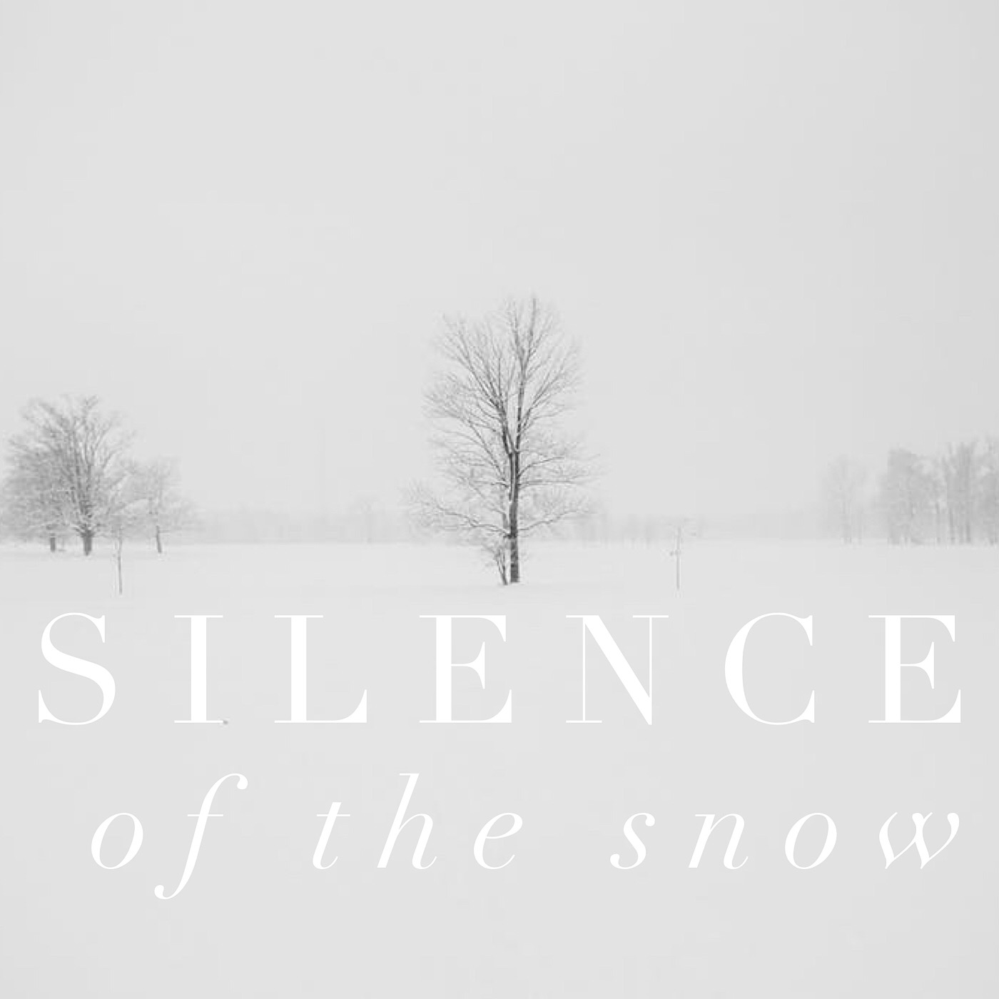 Silence of the Snow