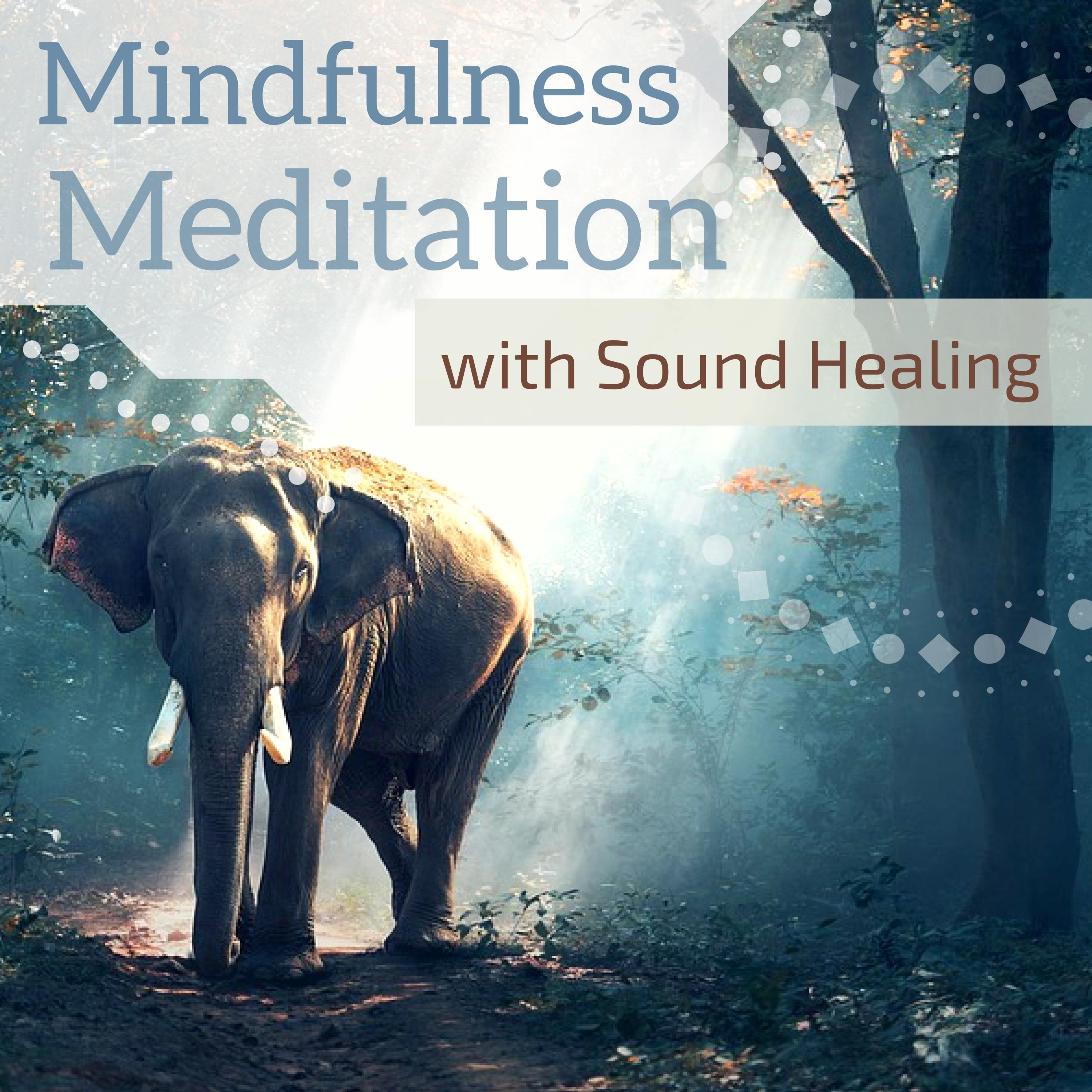 Mindfulness Meditation with Sound Healing