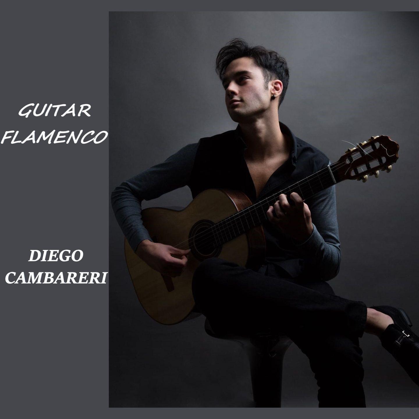 Guitar Flamenco