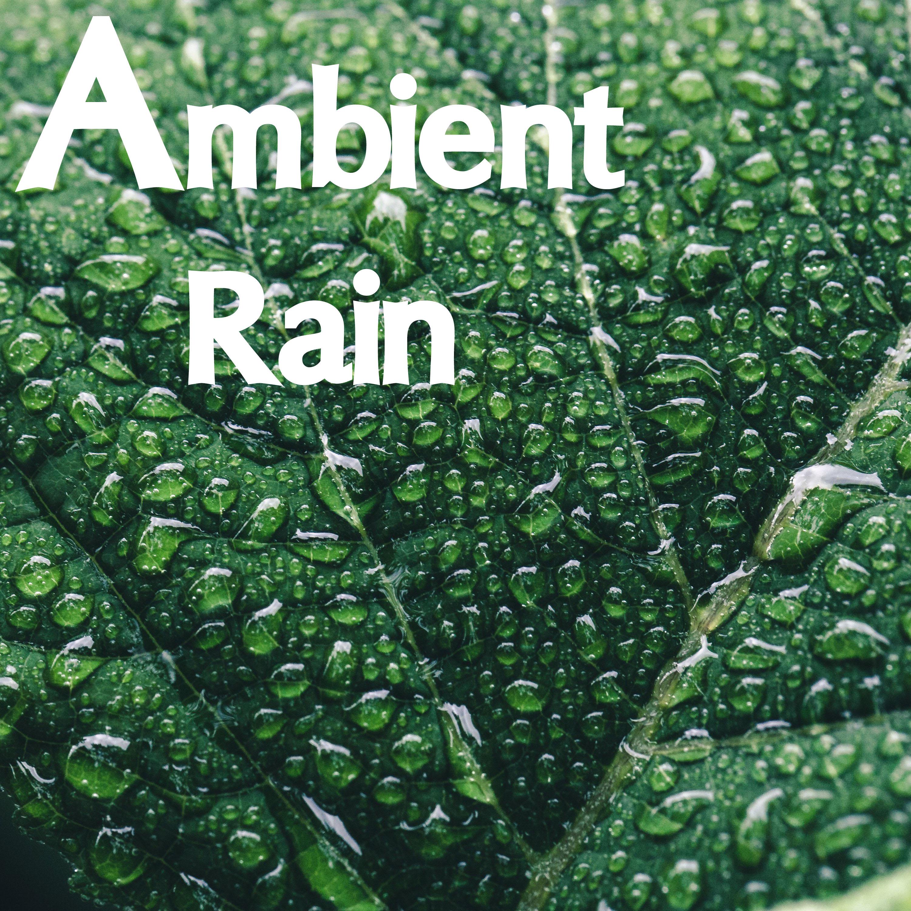 16 Ambient Rain and Nature Sounds for Quick and Easy Meditation and Sleep