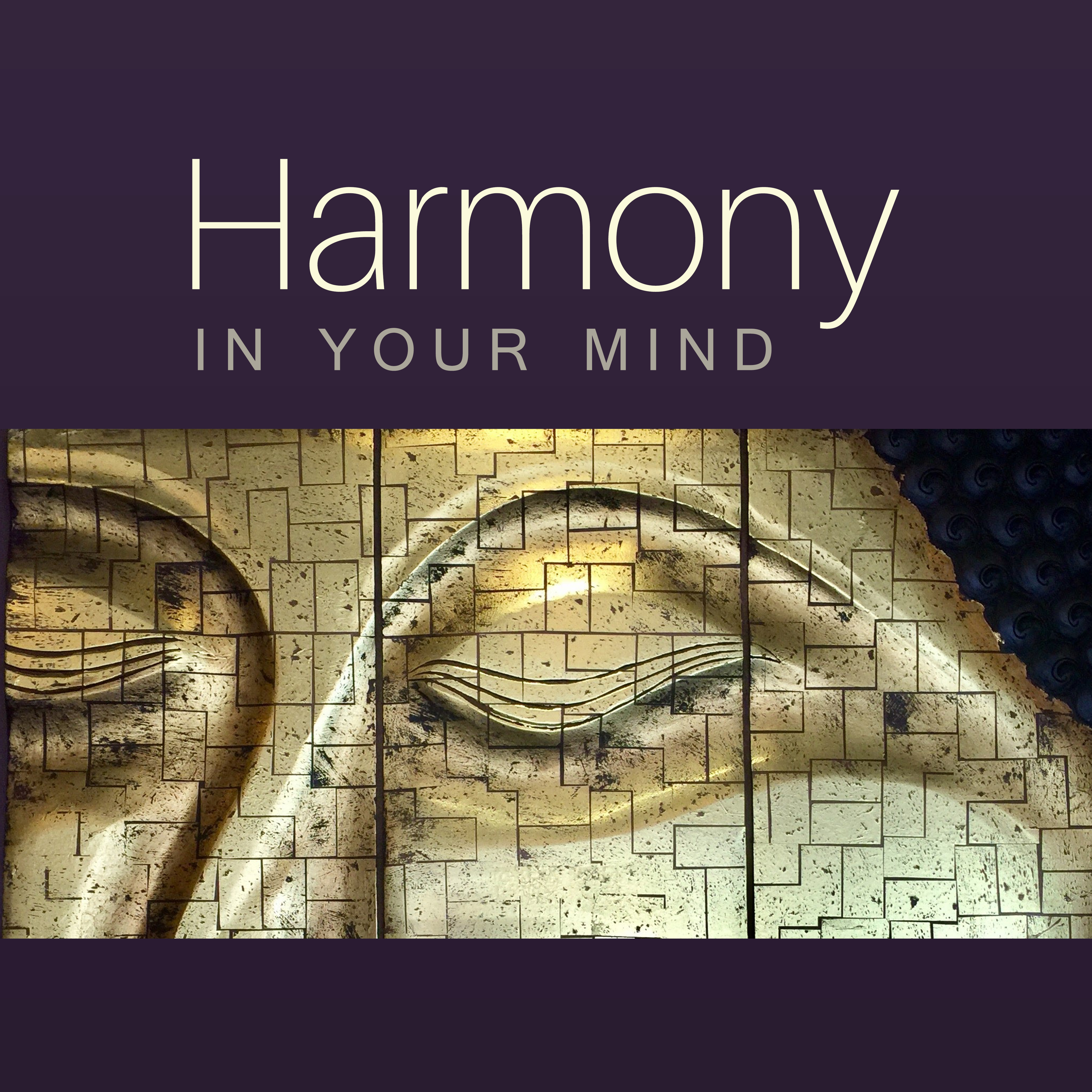 Harmony in Your Mind  Buddha Lounge, Reiki Music for Yoga, Meditation, Stress Relief, Pure Mind, Chakra Balancing, Zen