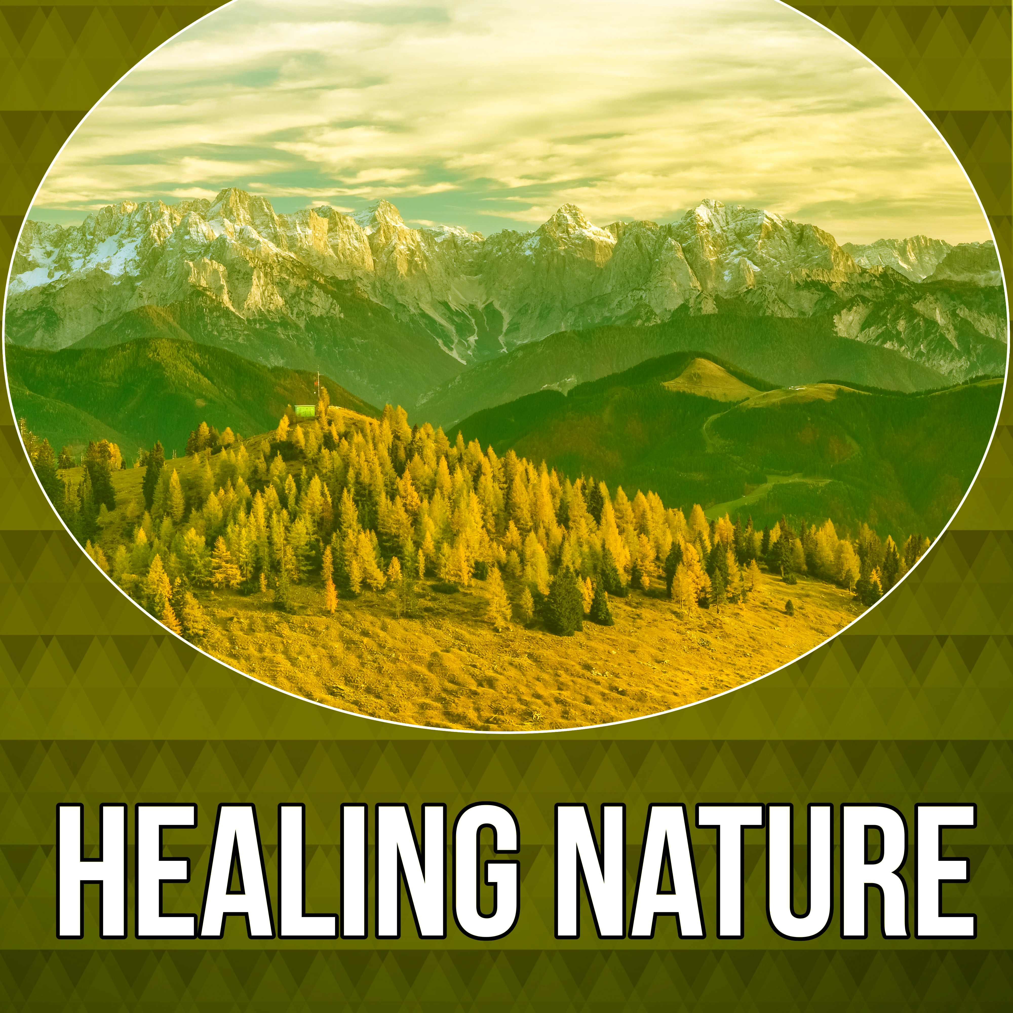 Healing Nature  Deep Healing, Soothing Relaxation, Waves Sounds, Calm Down, Nature Sounds, Peaceful Music