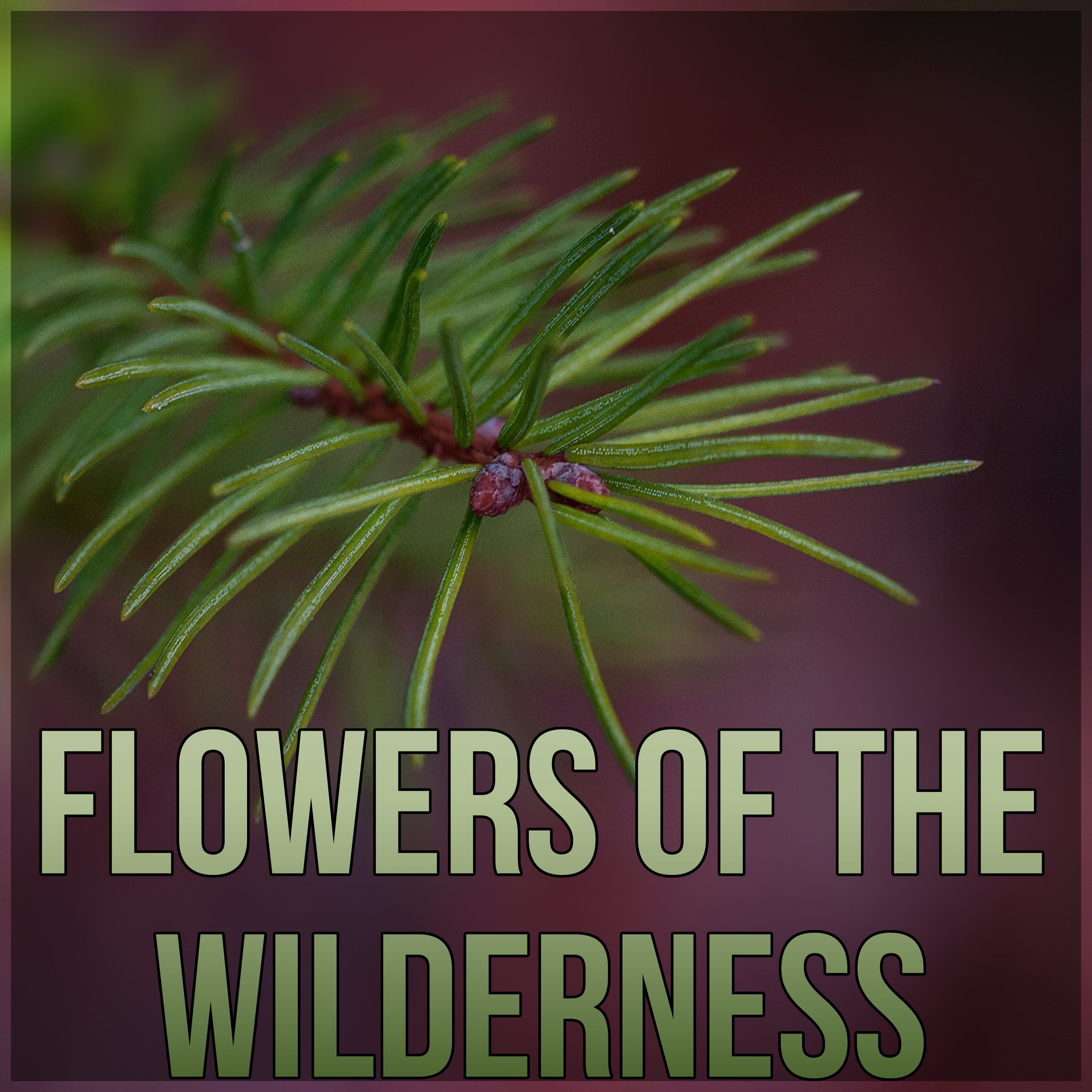 Flowers of the Wilderness - Sounds of Nature for Center Hotel Spa, New Age Meditation and Relaxation for Aqua Day Spa, Gentle Massage Music for Aromatherapy, Background Music for Inner Peace