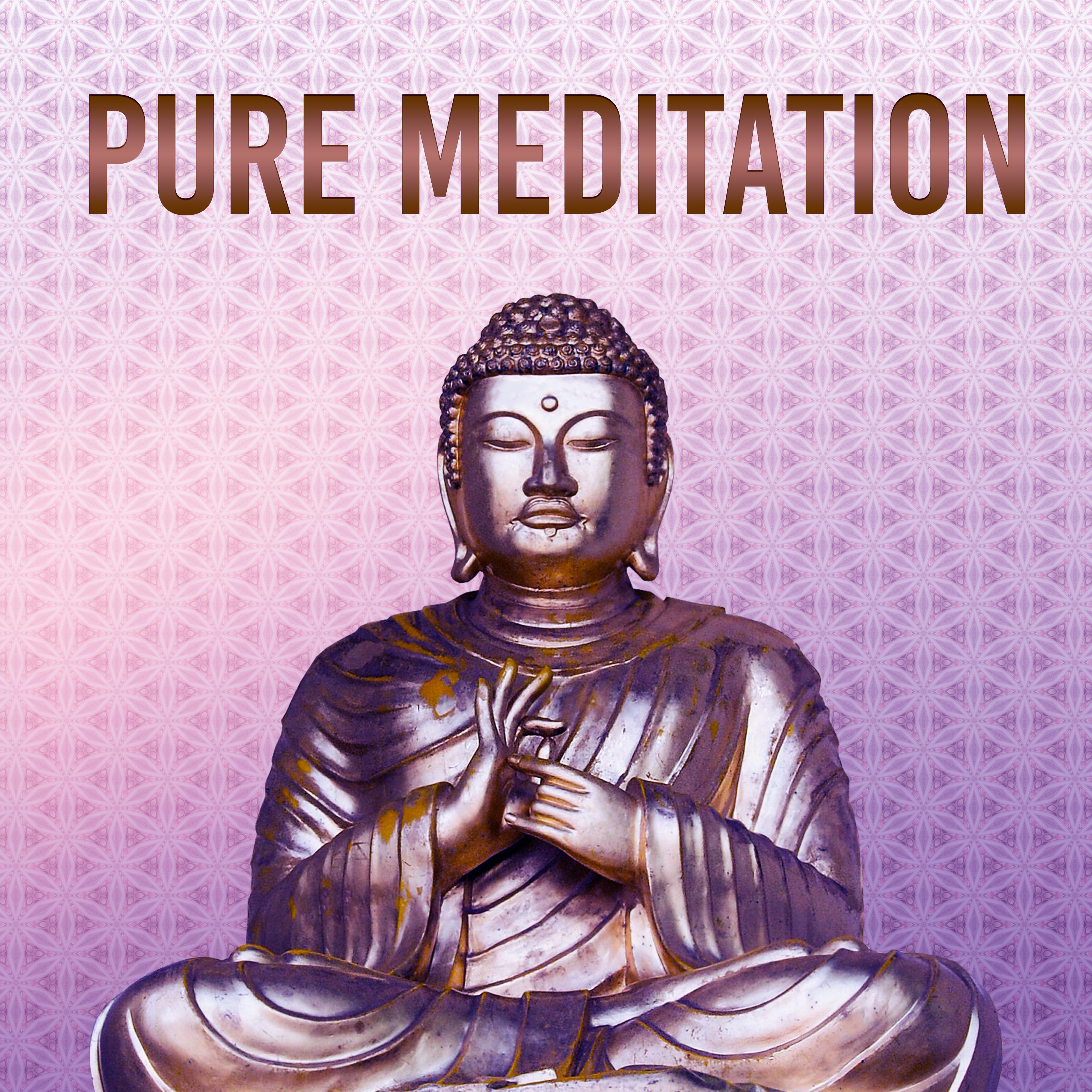 Pure Meditation  Training Yoga, Peaceful Mind, Tranquility, Stress Relief, Chakra Balancing, Deep Meditation, Zen Music, Harmony