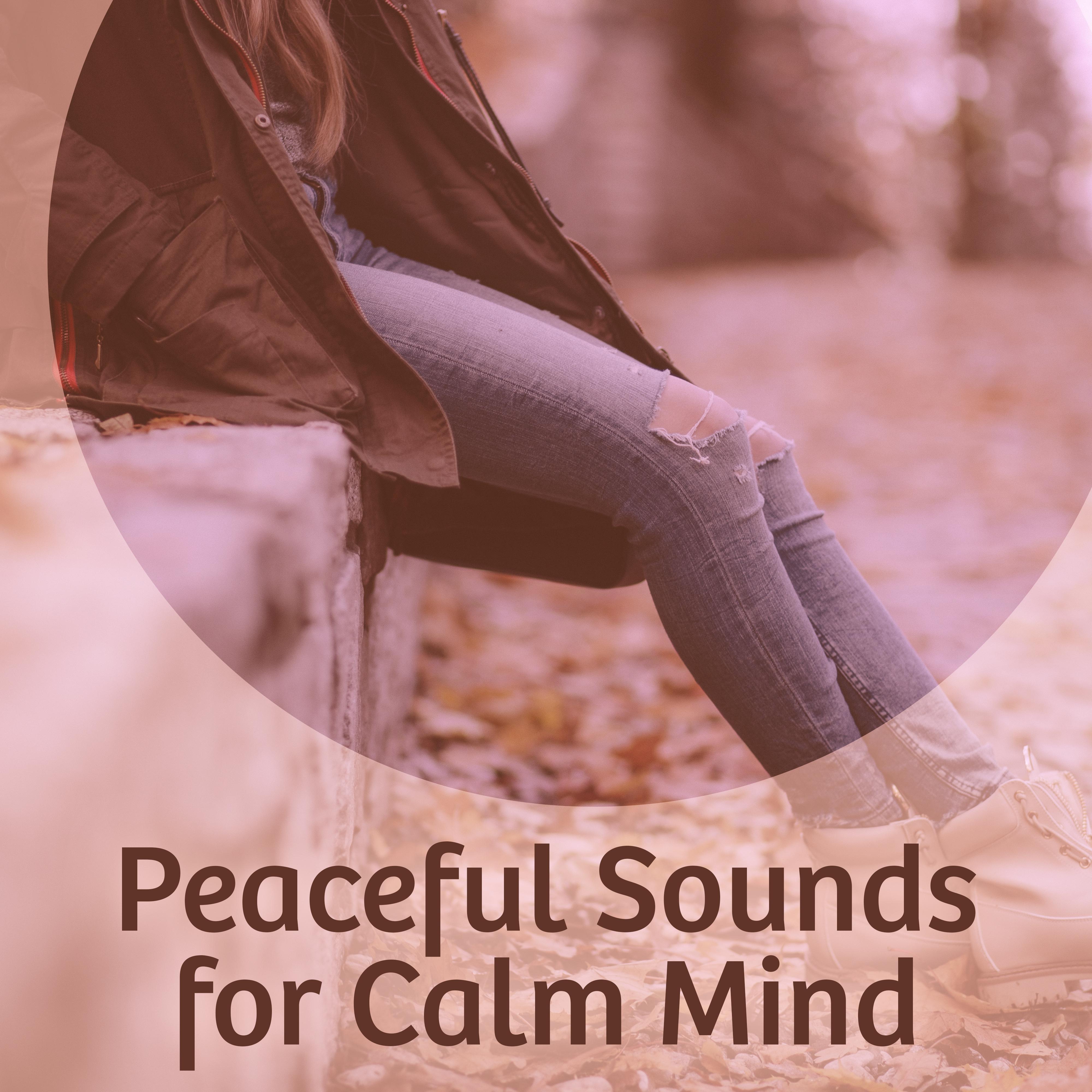 Peaceful Sounds for Calm Mind  Rest All Day, Sounds to Calm Down, New Age Music, Inner Silence, Spirit Calmness