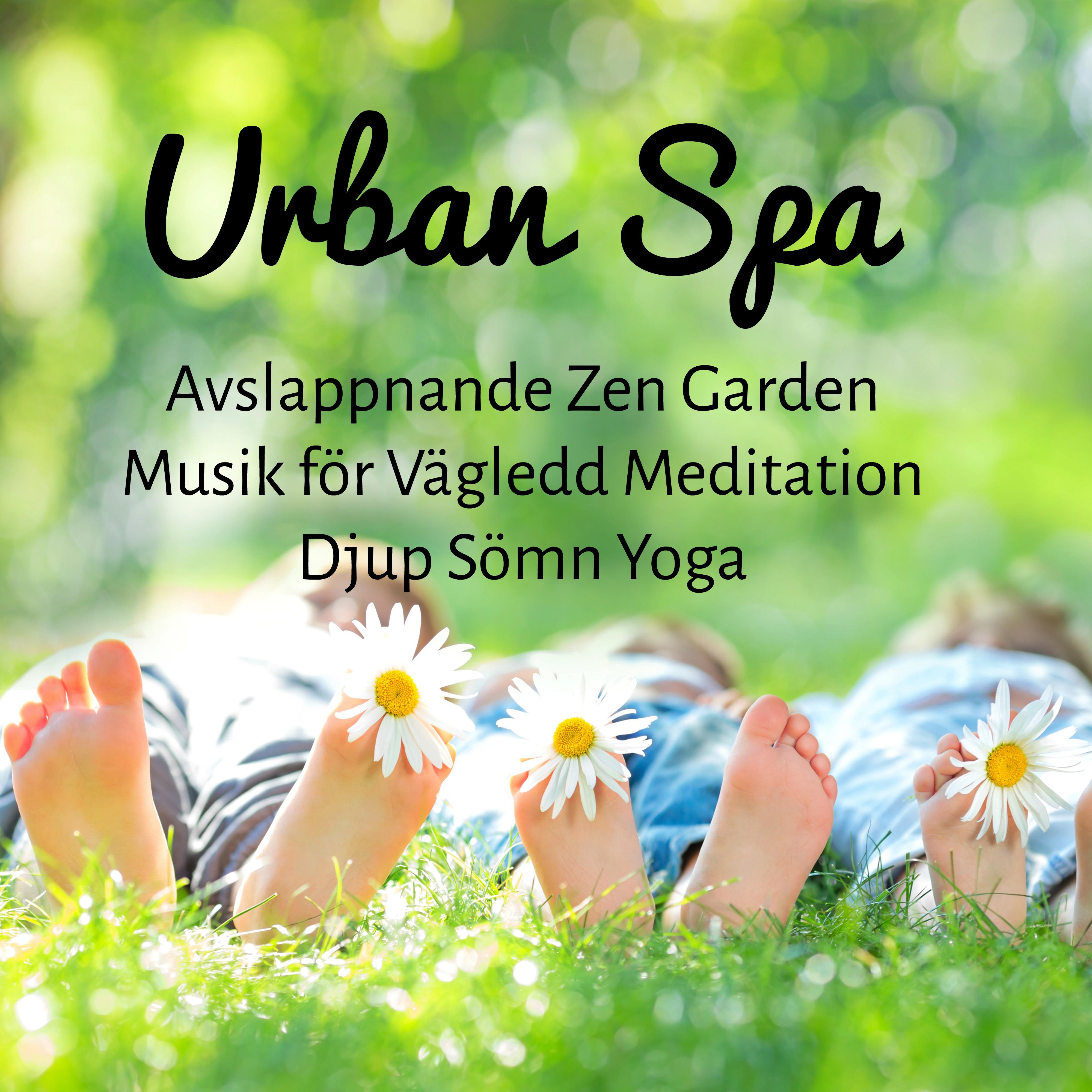 Urban Spa  Avslappnande Zen Garden Musik f r V gledd Meditation Djup S mn Yoga med Natur Instrumental Easy Listening New Age Ljud