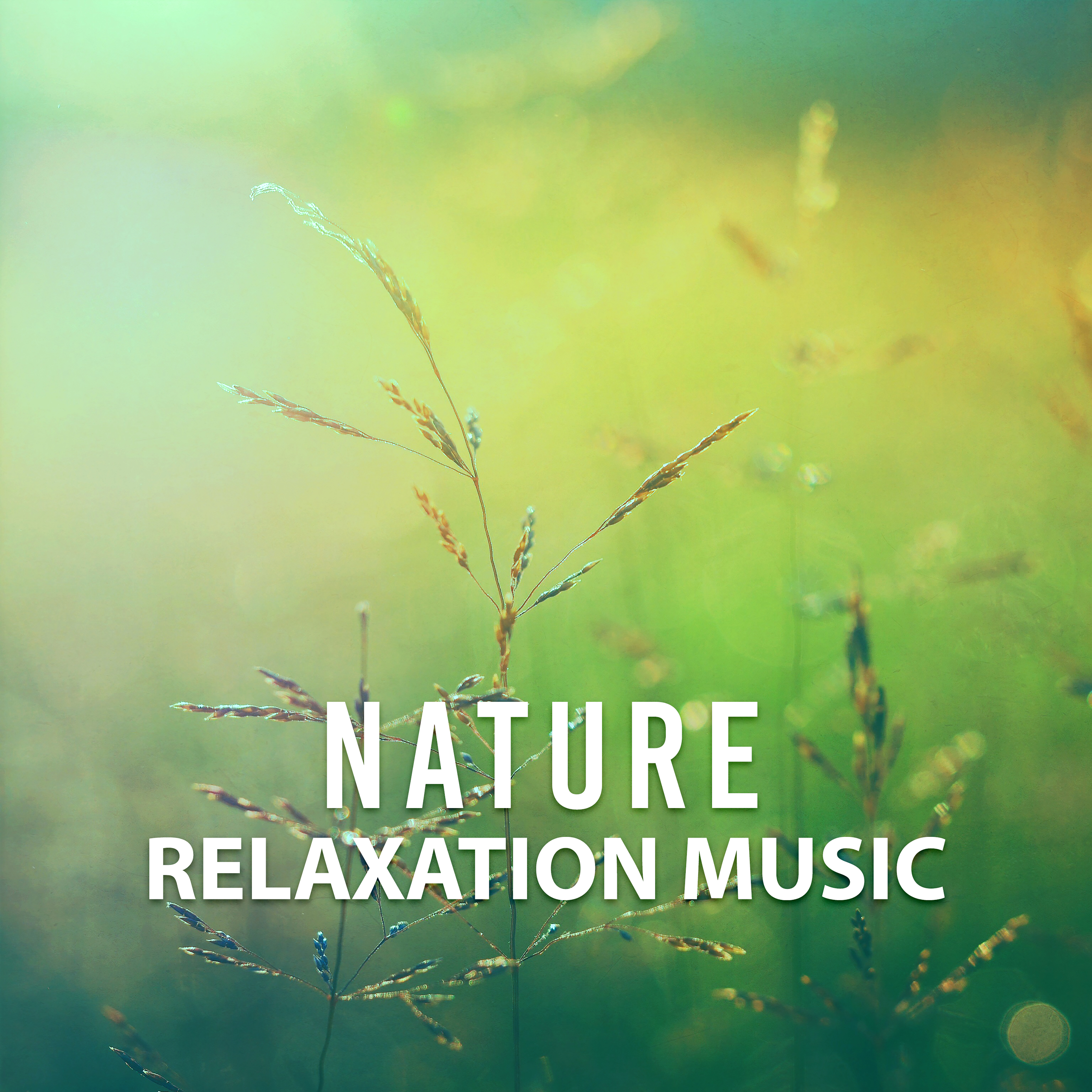 Nature Relaxation Music  Rest with New Age, Nature Sounds, Music for Stress Relief, Relax Yourself