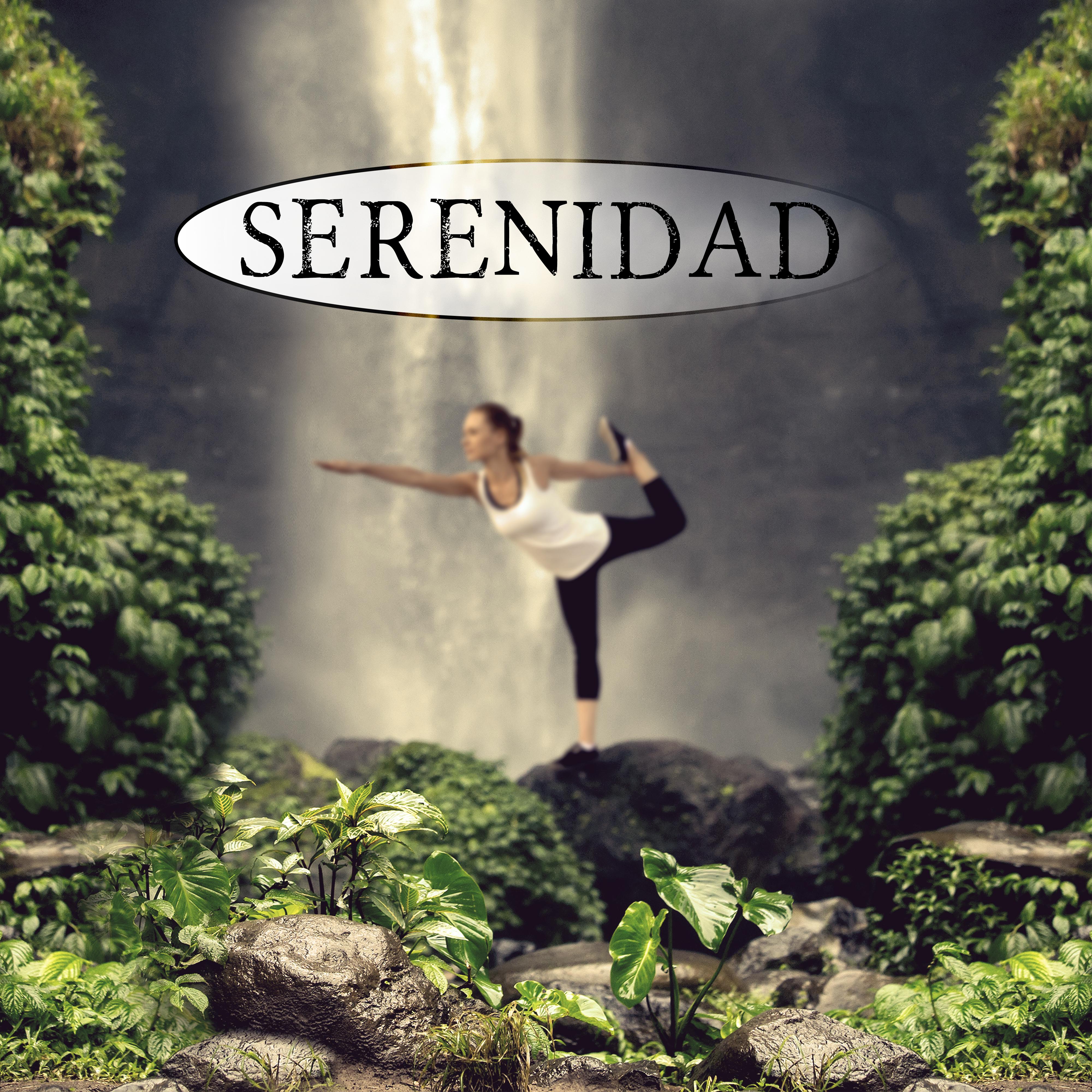 Serenidad  Mu sica de Meditacion para la Ansiedad, Levantarse y Calmar la Mente, Sonidos para la Relajacio n Muscular y Wellness, Yoga, Reiki, Bien Estar, Pensamiento Positivo