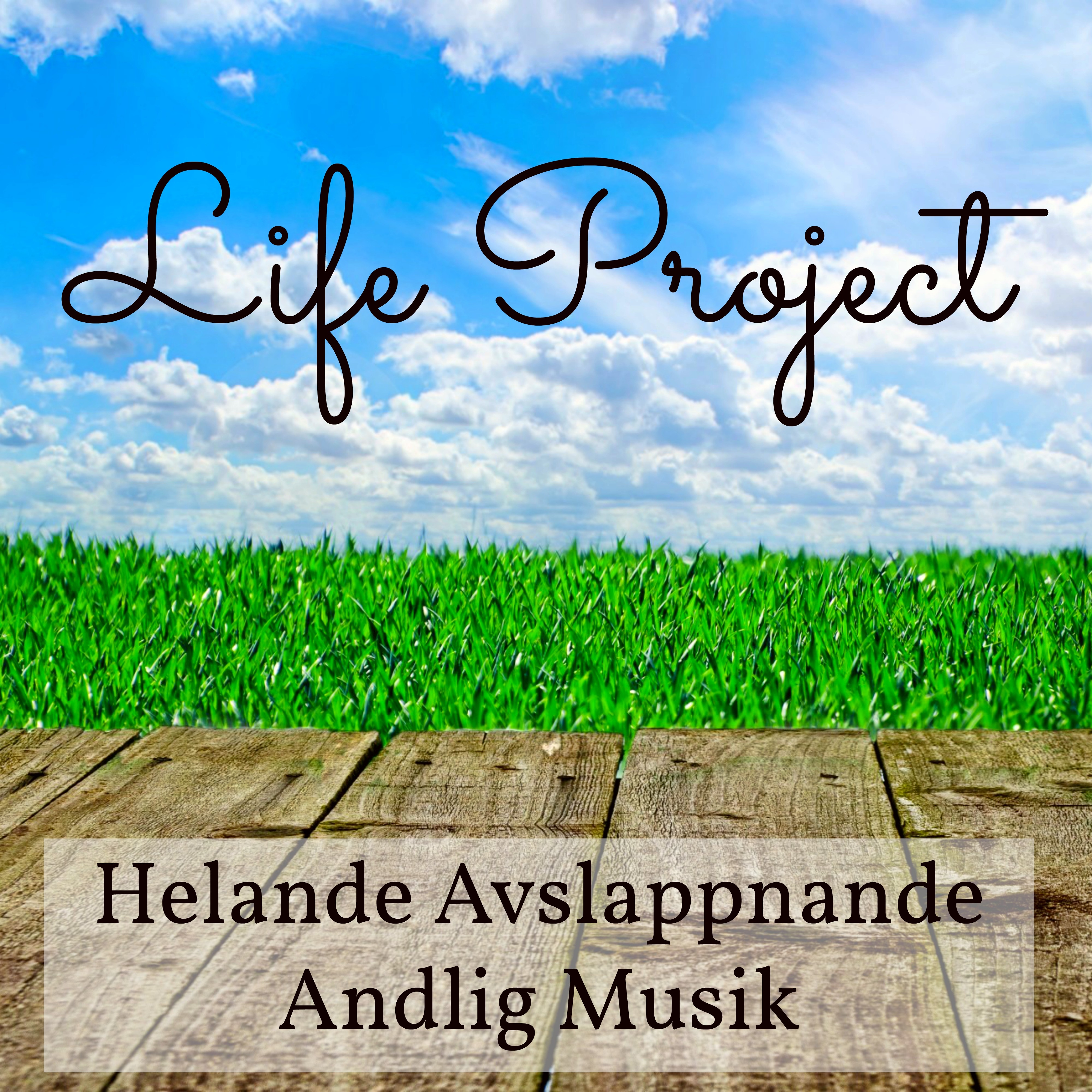 Life Project  Helande Avslappnande Andlig Musik med Instrumental New Age S ta Meditativ Ljud