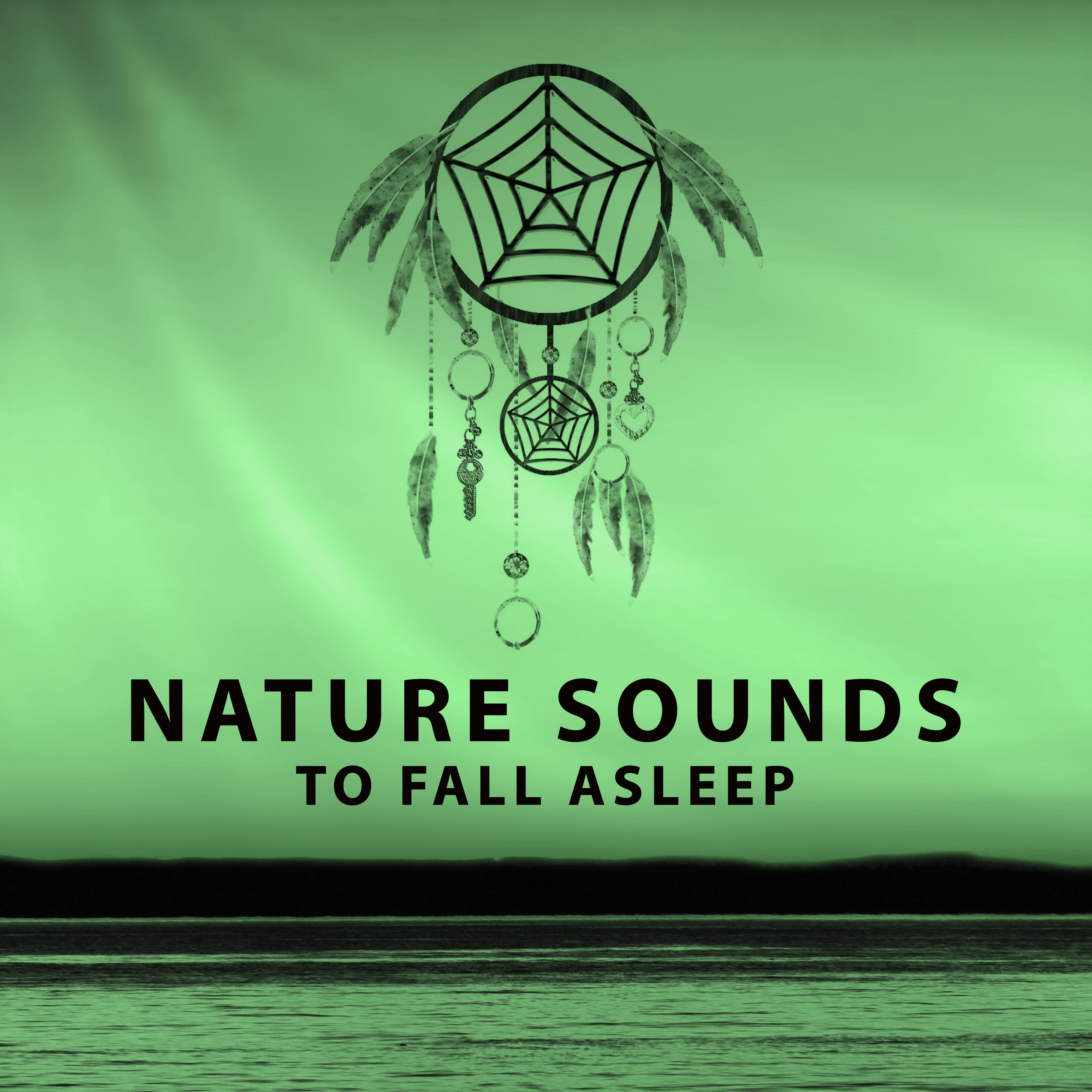 Nature Sounds to Fall Asleep  Dream  Relax, Sounds to Calm Down, Nature Relaxation