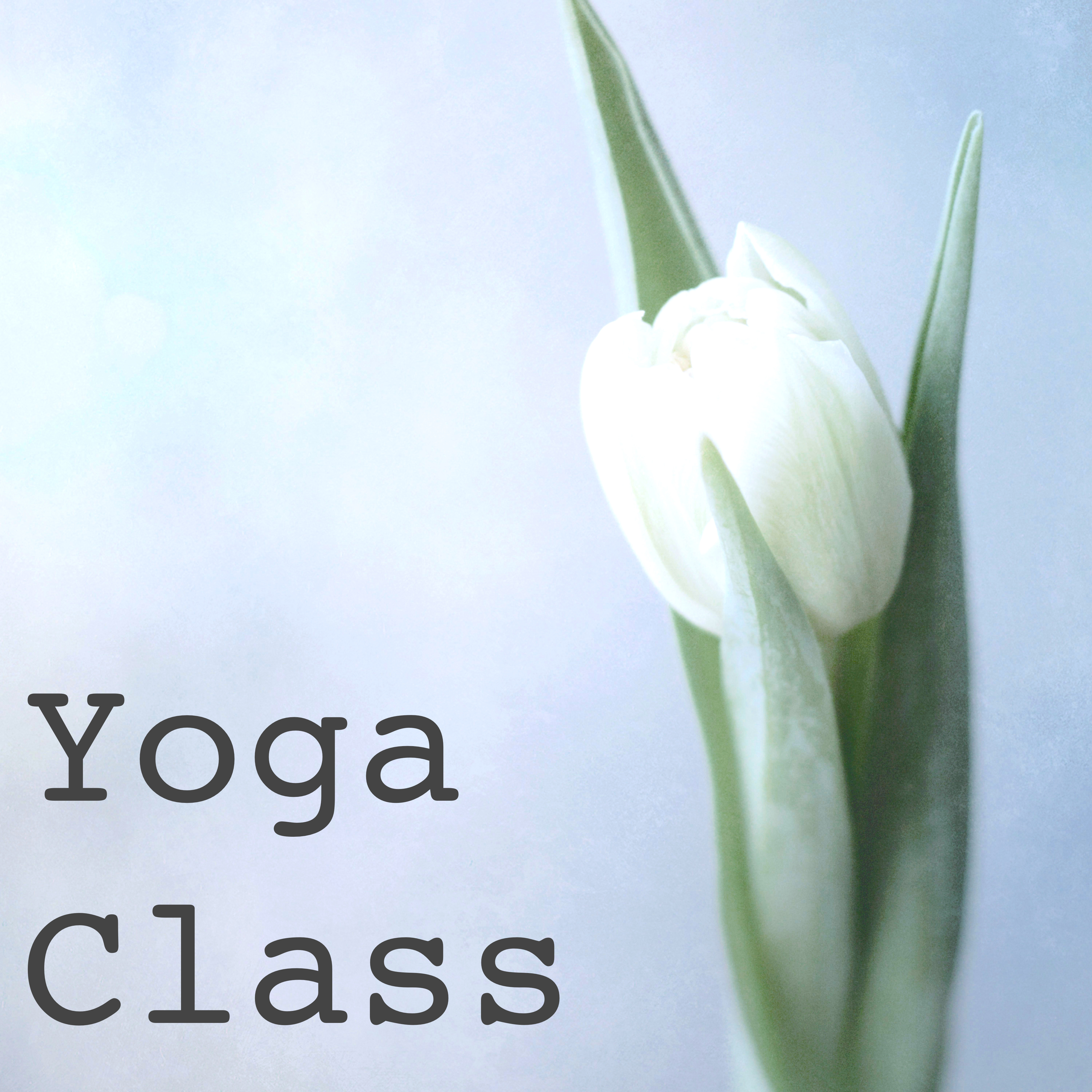 Yoga Class  25 Songs: Deep Meditation Music for Yoga Morning Salutation, Pranayama, Hatha Yoga and Reiki, Best Soothing Piano Songs for Mindfulness
