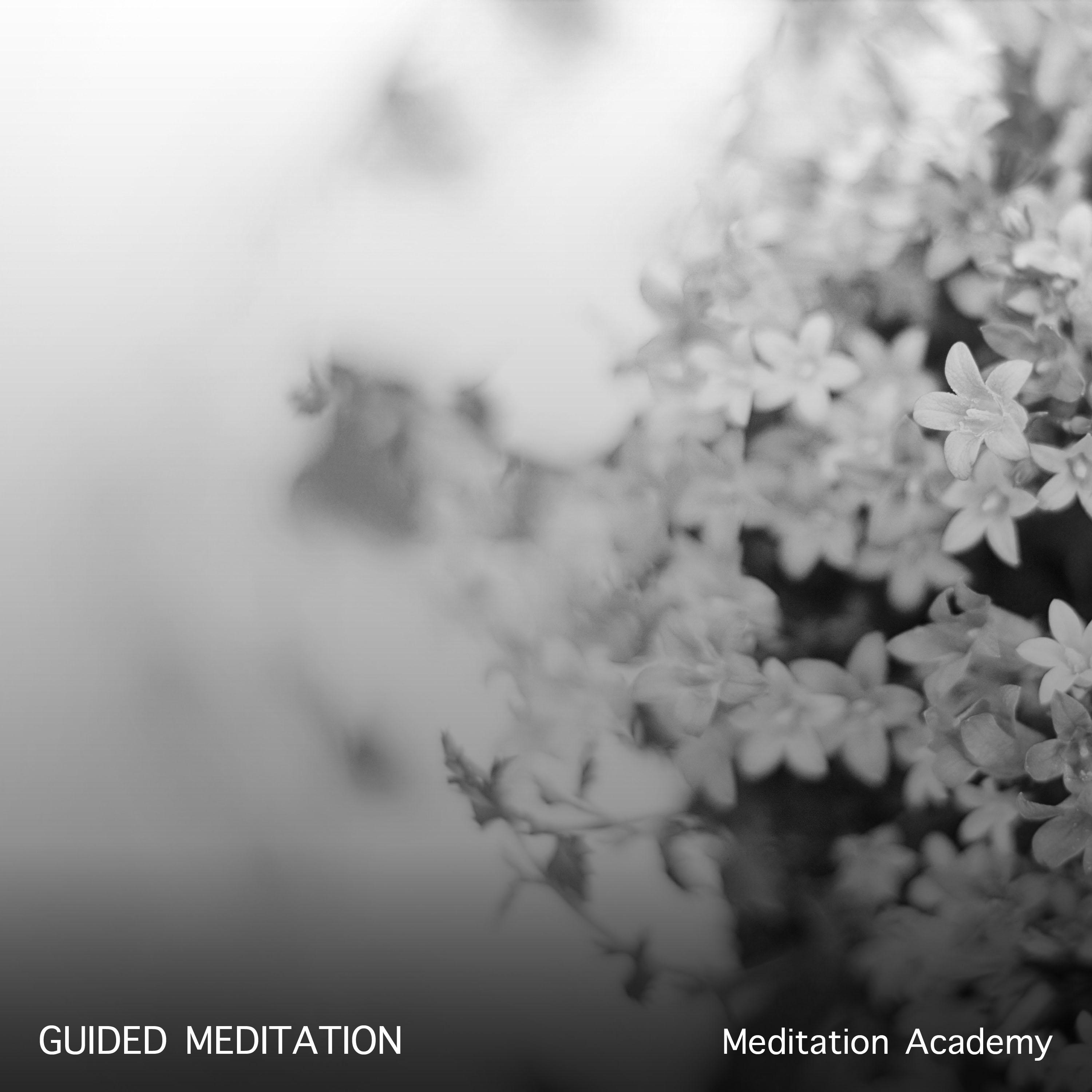 2018 Meditation Academy Presents: Guided Meditation