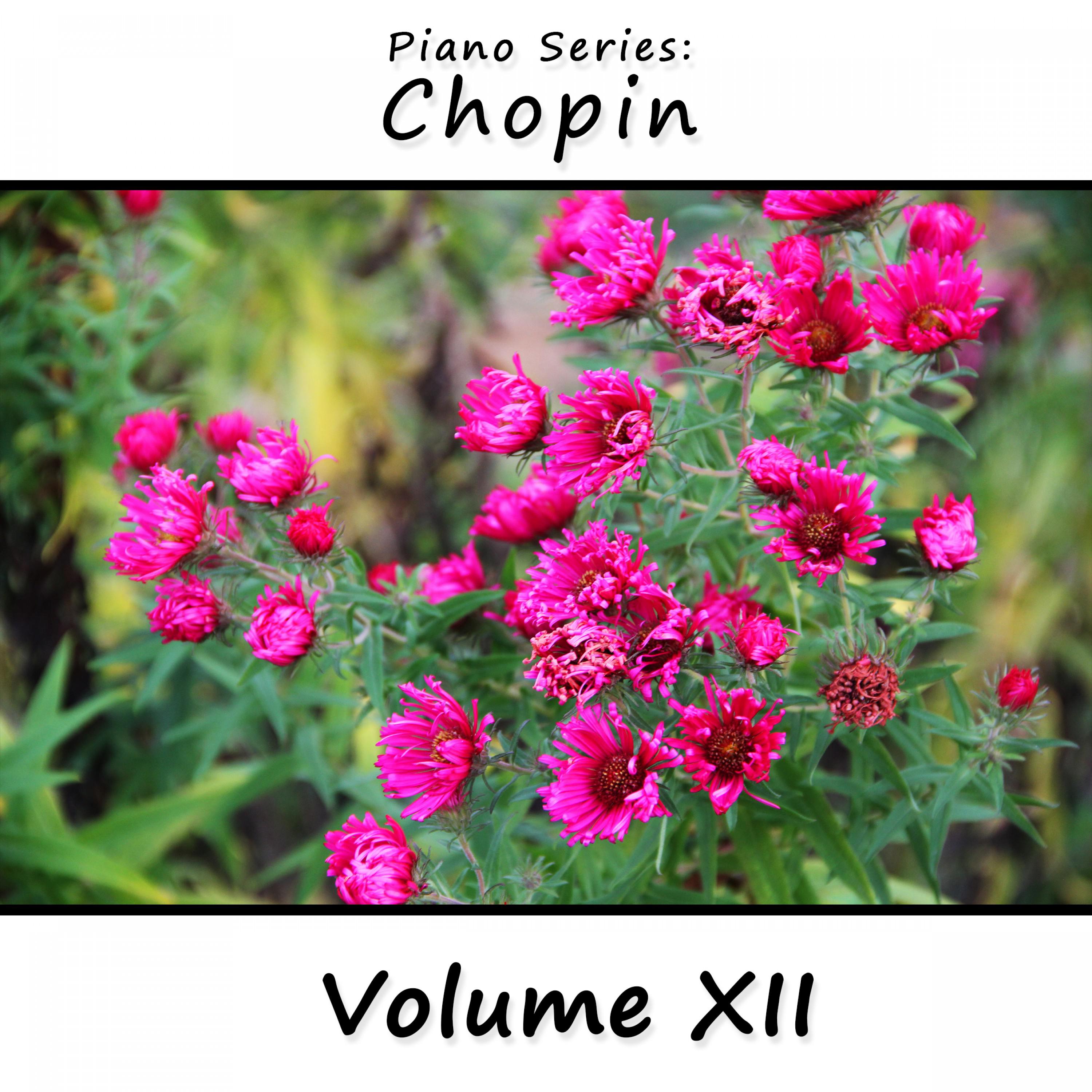 Piano Series: Chopin, Vol. 12