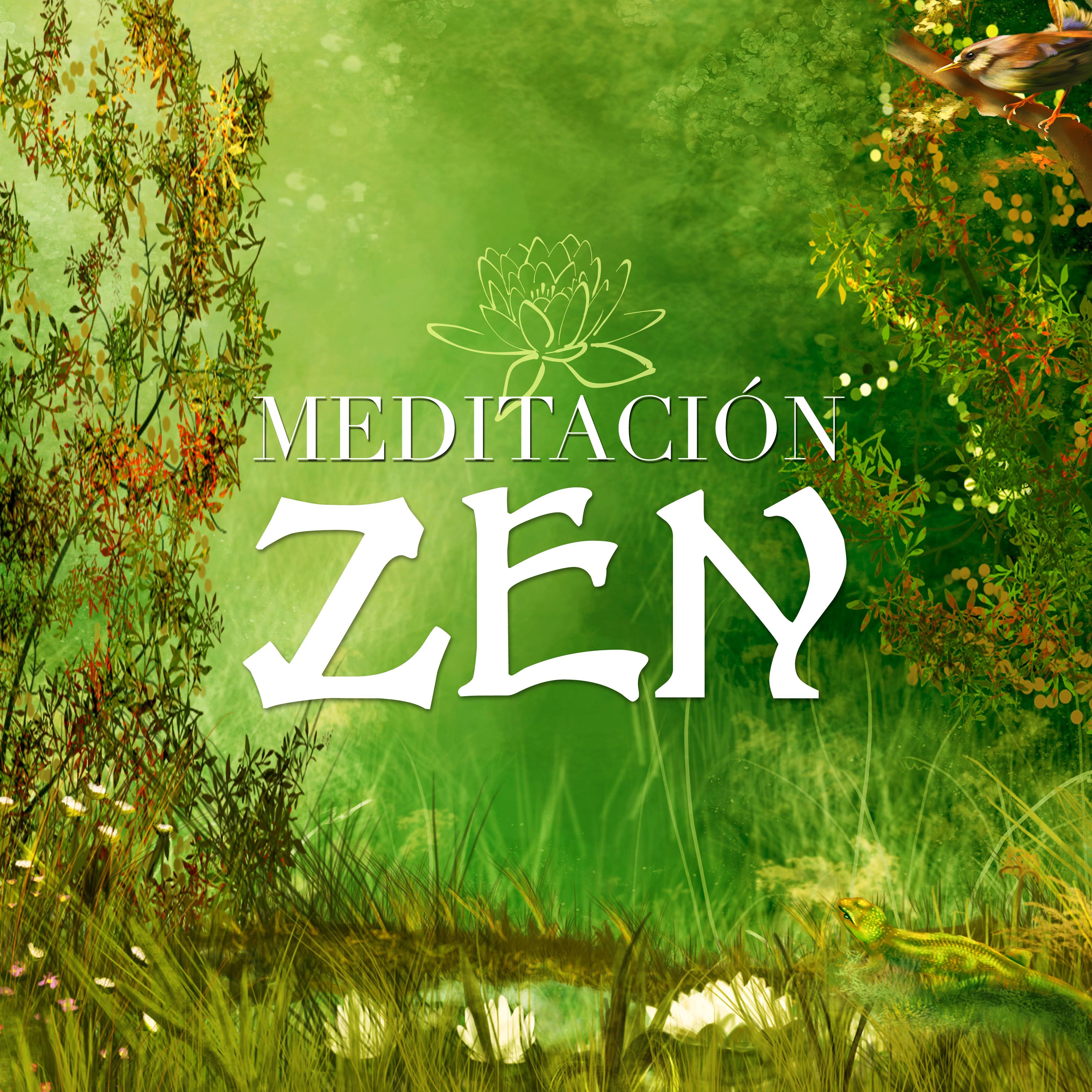 Meditacio n Zen  Mu sica para Relajarse para Meditacion Guiada