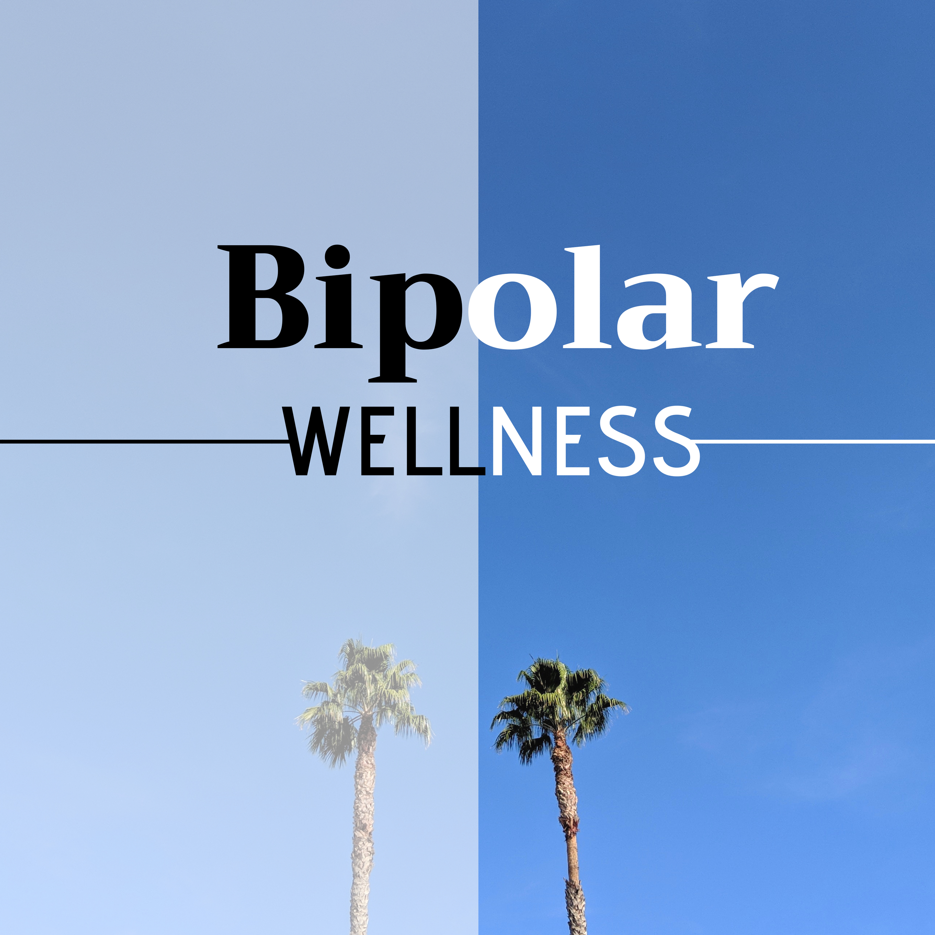 Bipolar Wellness