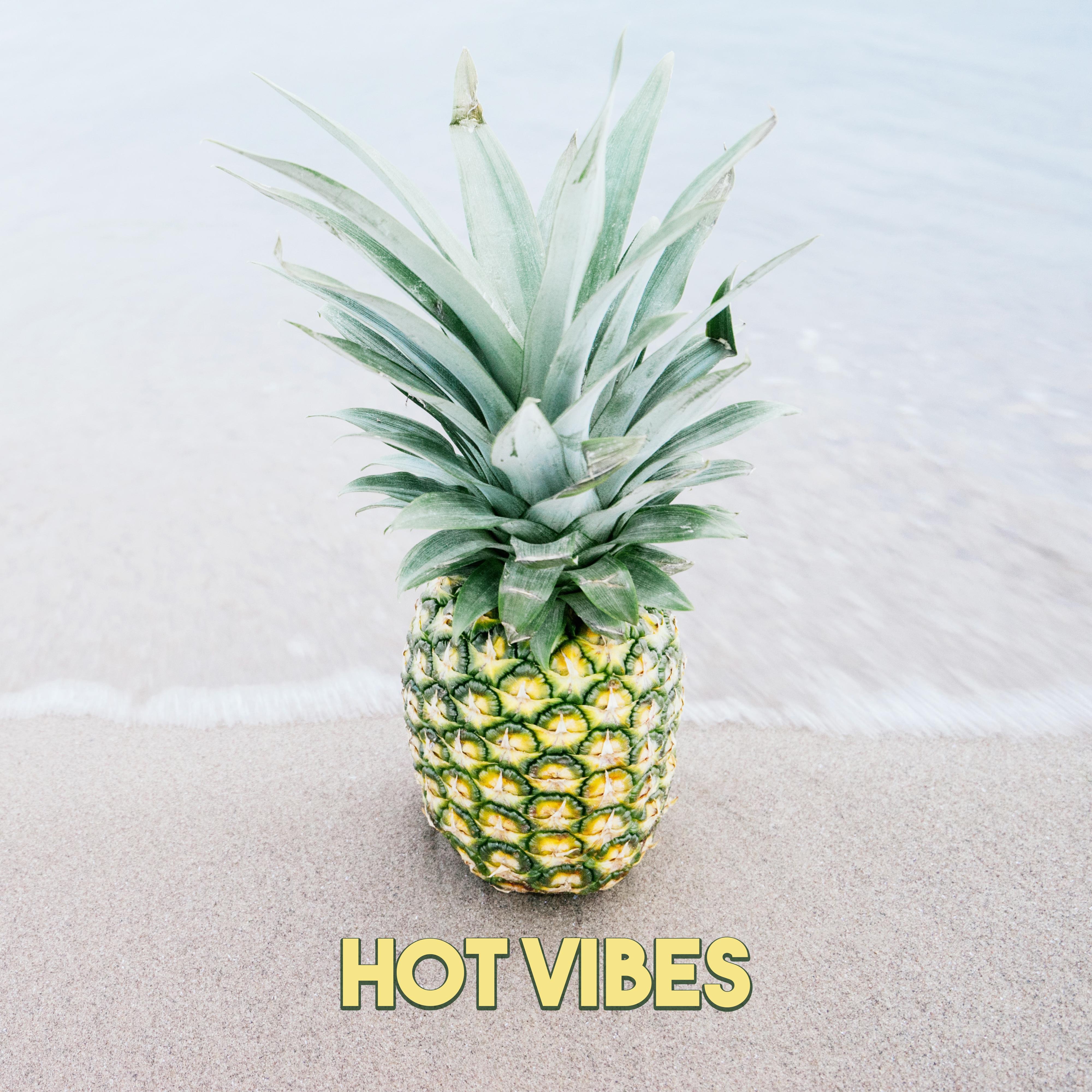 Hot Vibes  Dance Music, Chill Out Ibiza Party, Erotic Moves, Summer Vibes