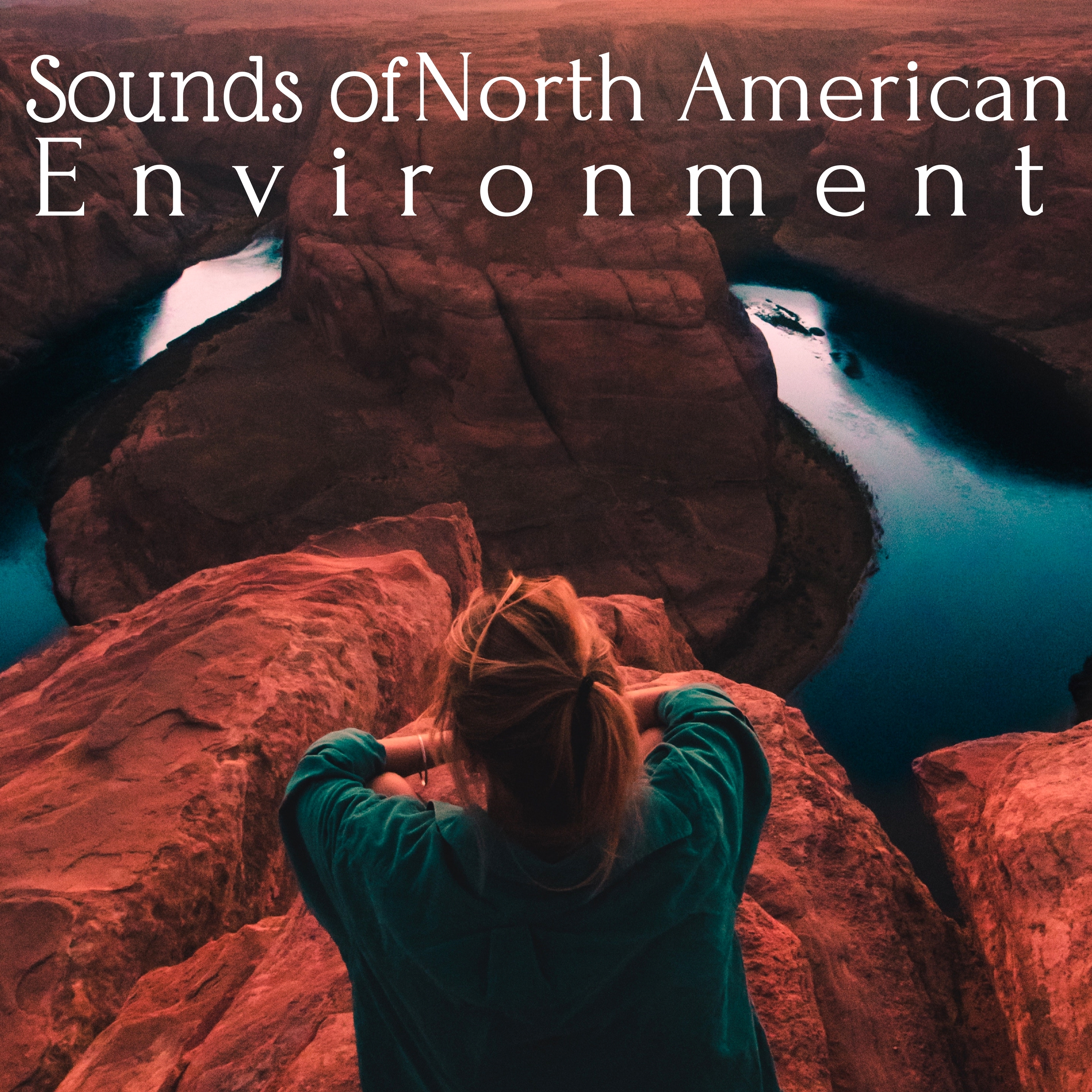 Sounds of North American Environment - New Age Music with Nature, Birds, Frogs, Rain, Wind
