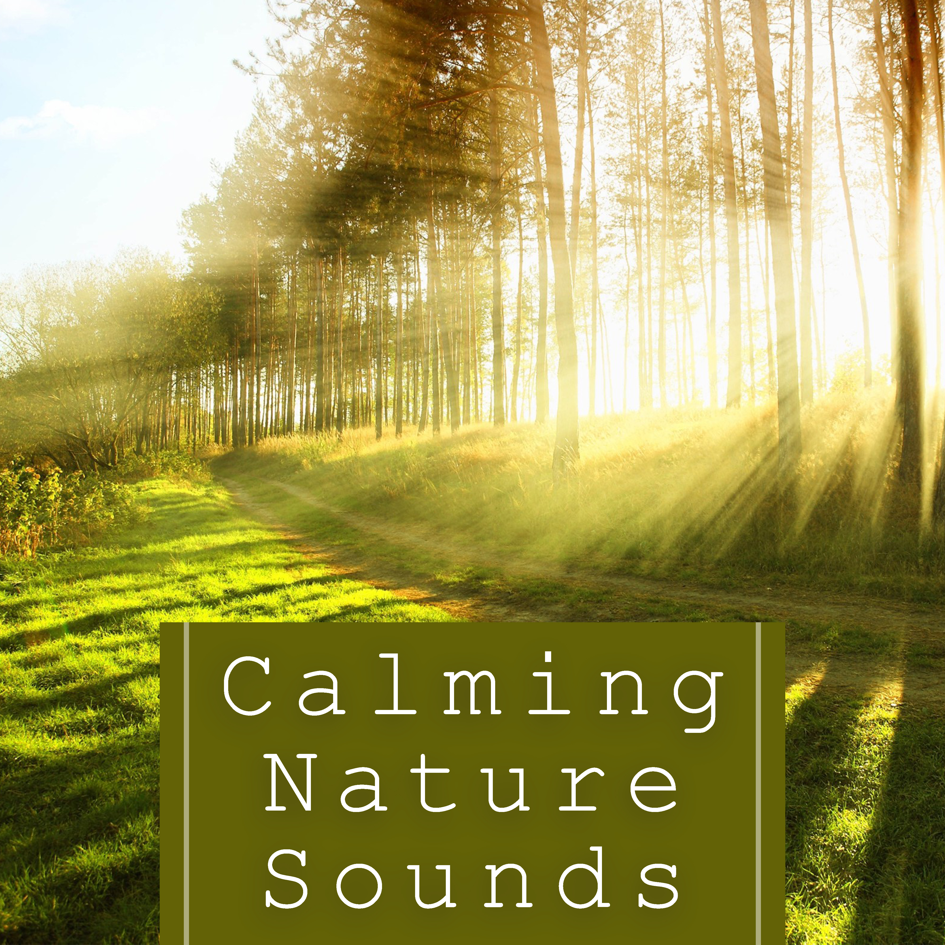 Calming Nature Sounds  Relaxing Waves, Soothing Sounds, Relax a Bit, Healing Therapy, Calm Down  Rest