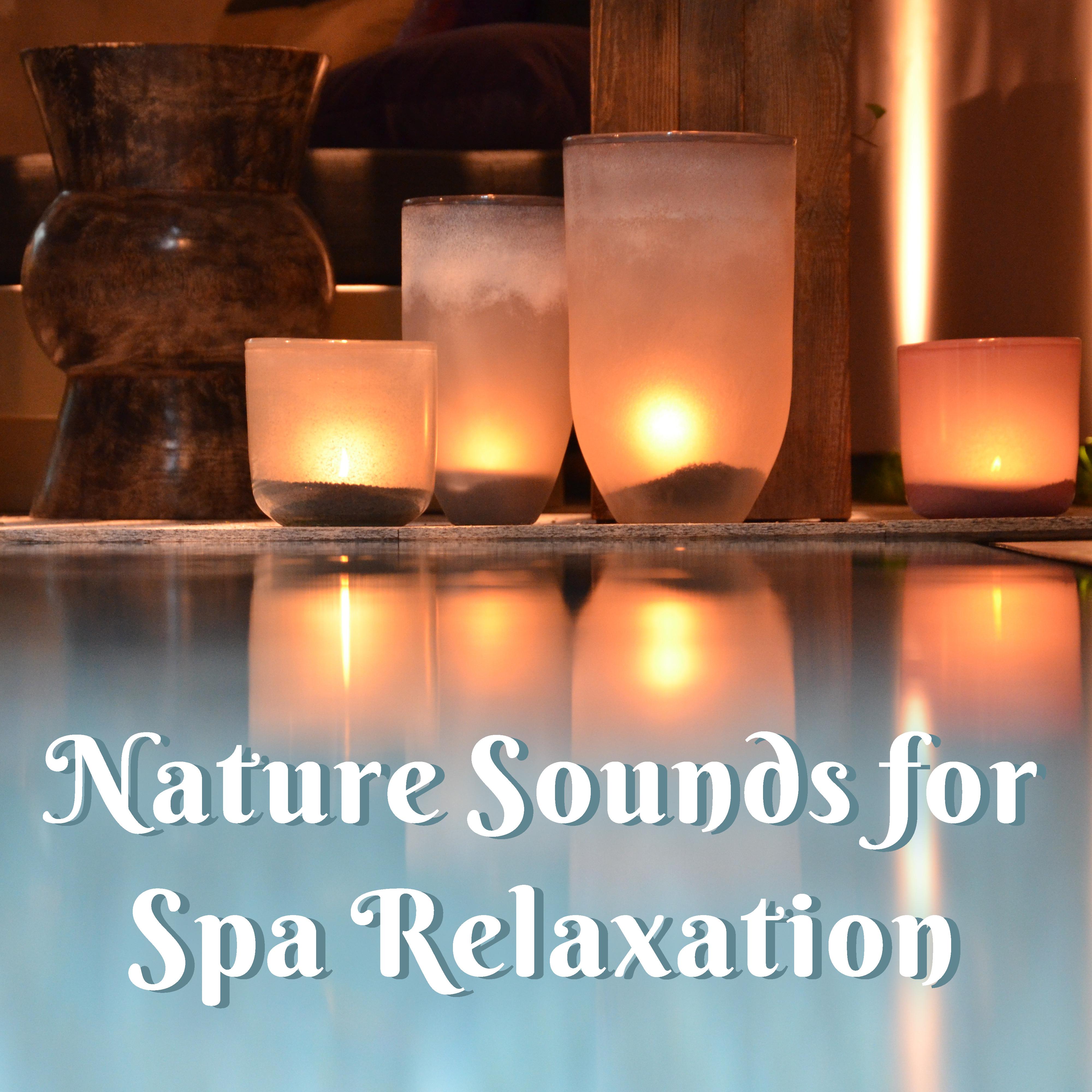 Nature Sounds for Spa Relaxation  Easy Listening, Stress Relief, Spa Beautiful Memories, Soothing Waves