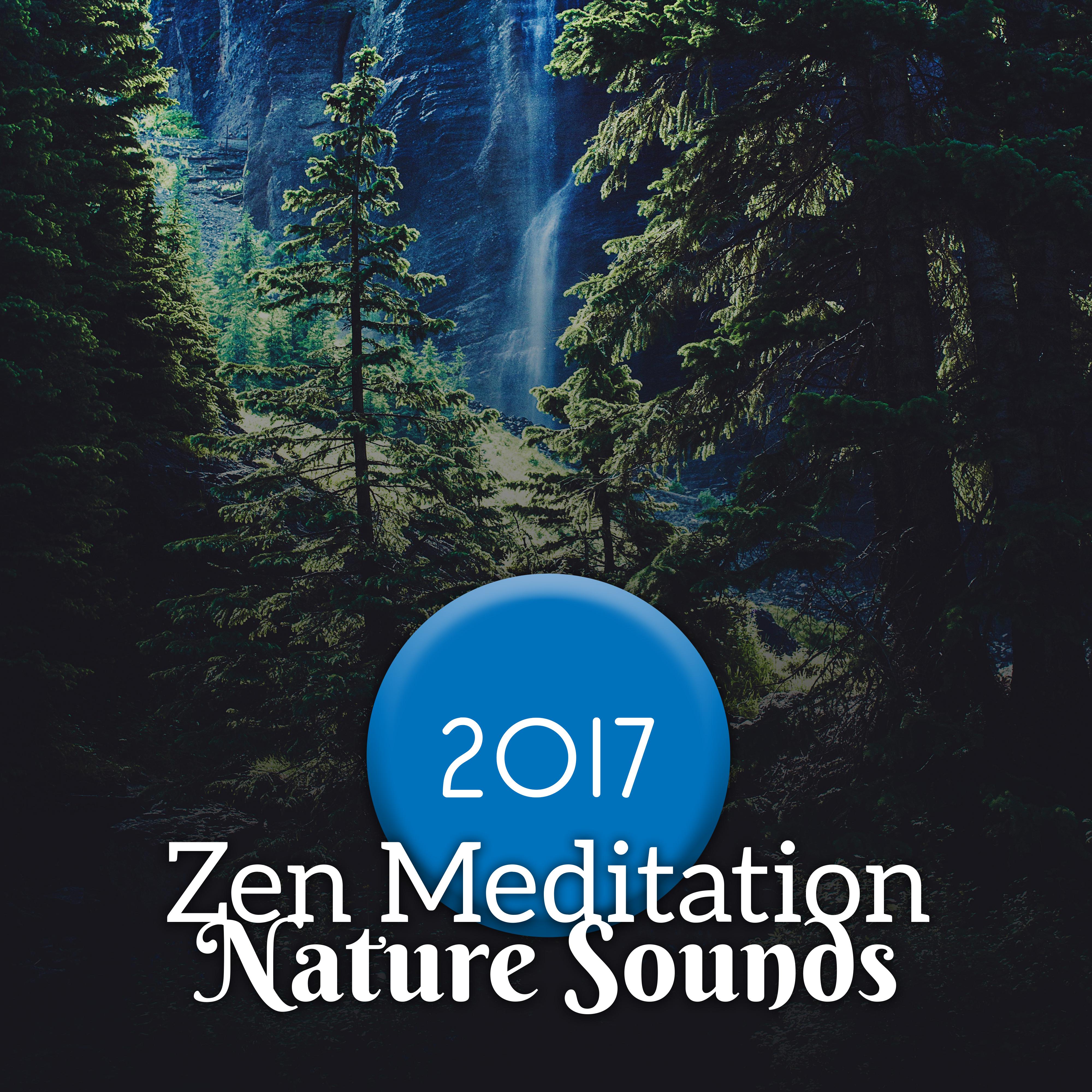 2017 Zen Meditation Nature Sounds