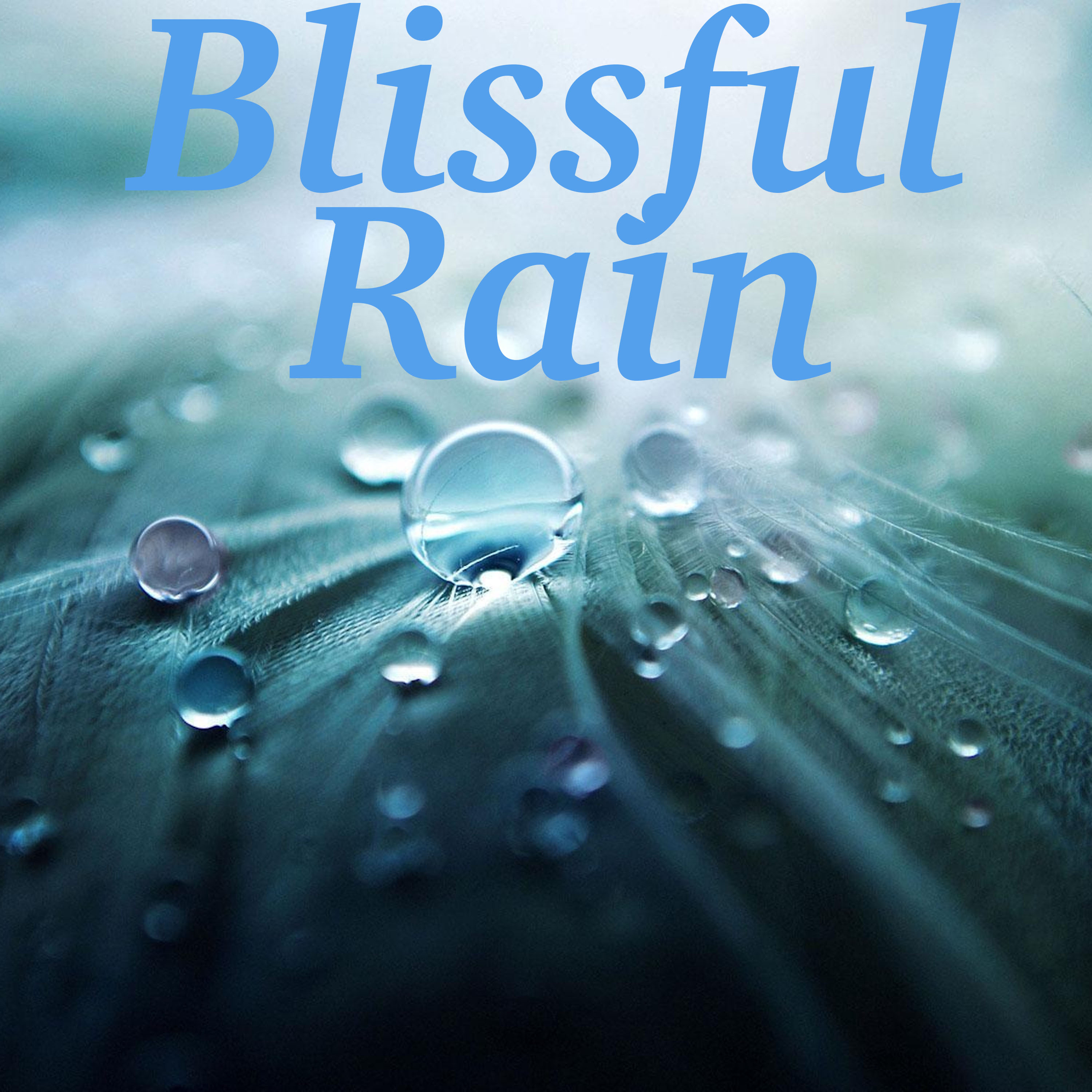 2018 Blissful Rain Meditation Sounds - Perfect for Sleeping or Meditating